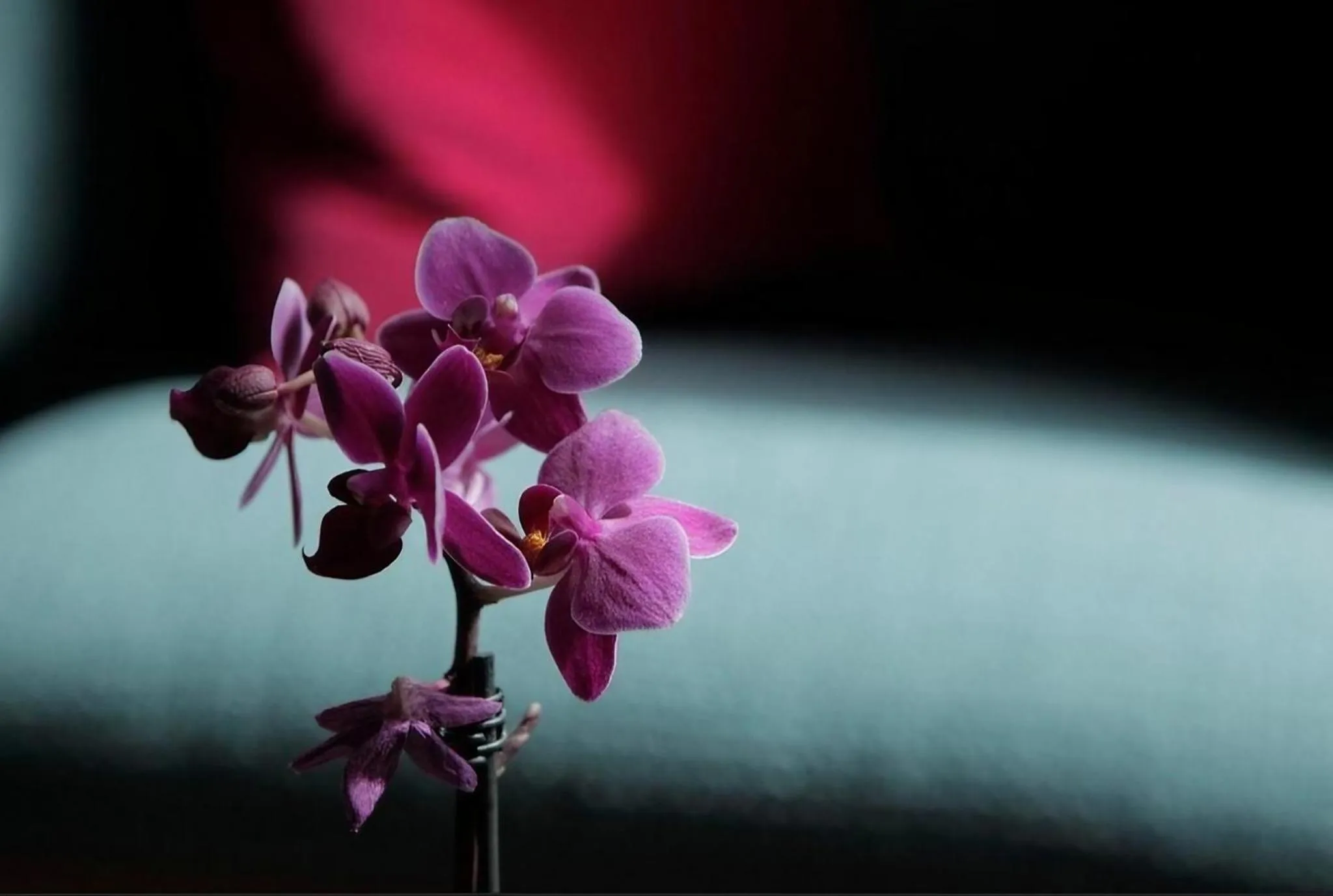 Bedroom in The Chapter Hotels - Lancaster Gate