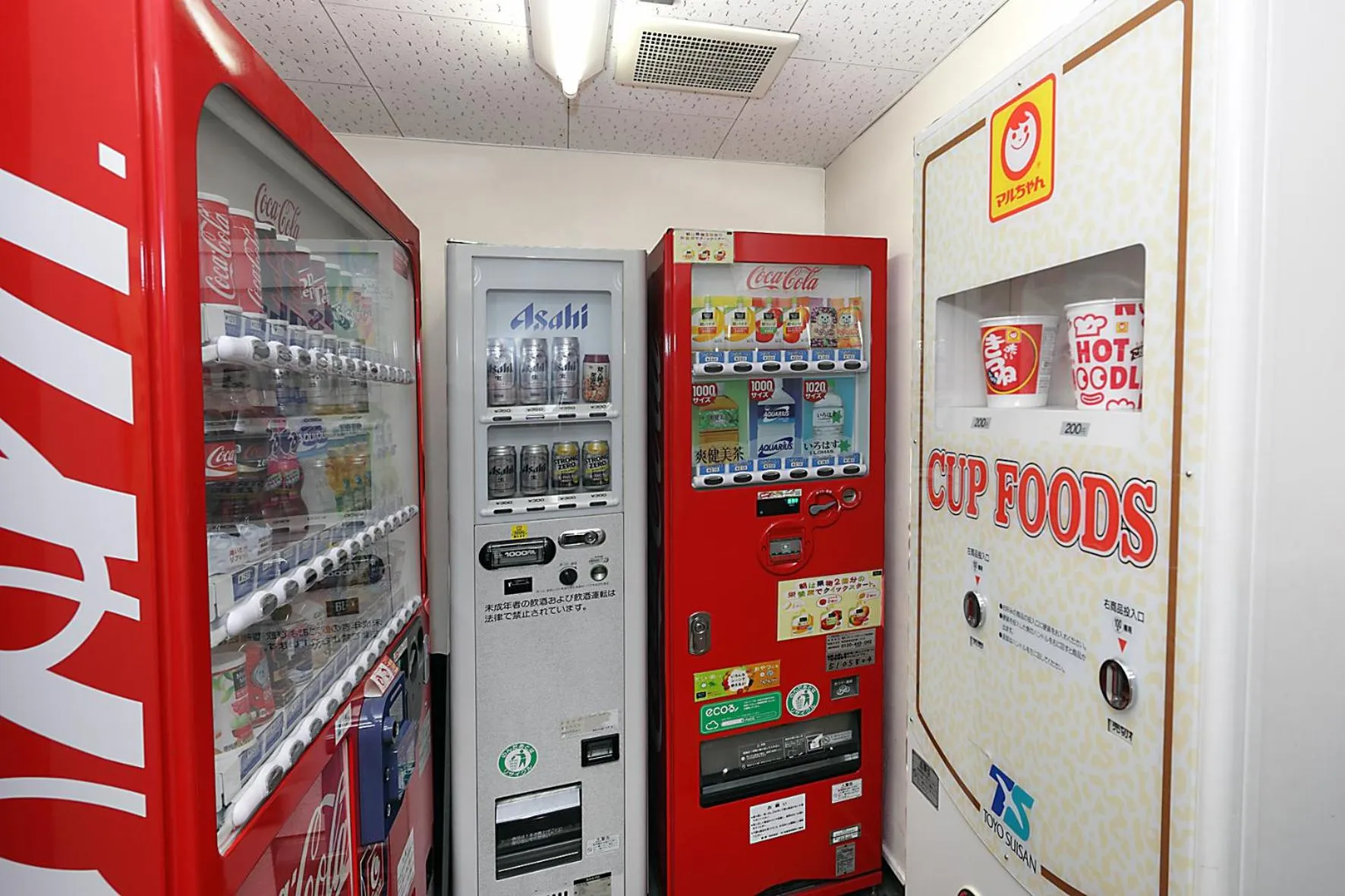 Area and facilities in Kumegawa Wing Hotel