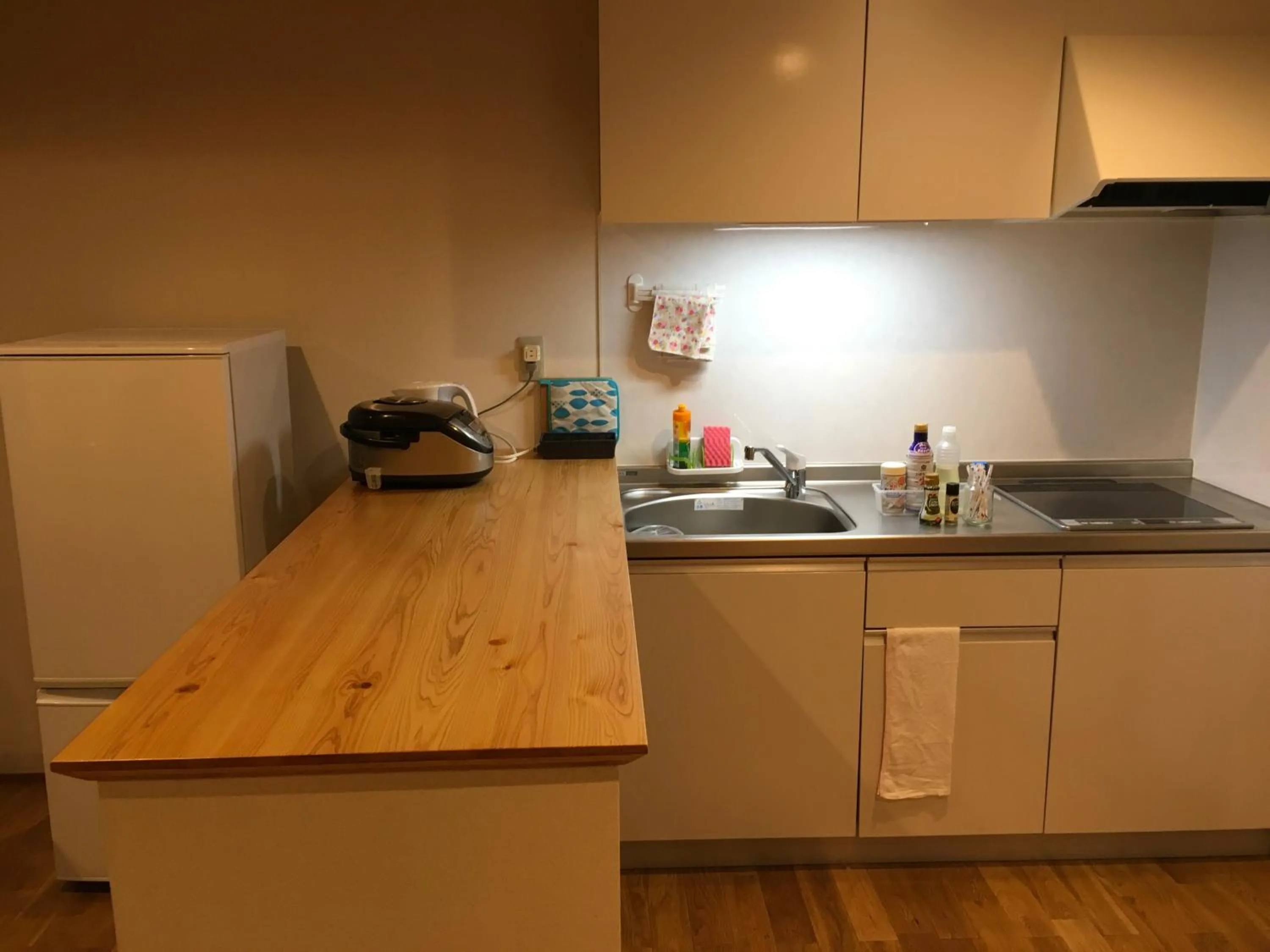 Kitchen or kitchenette in Rental Villa Ooishiso