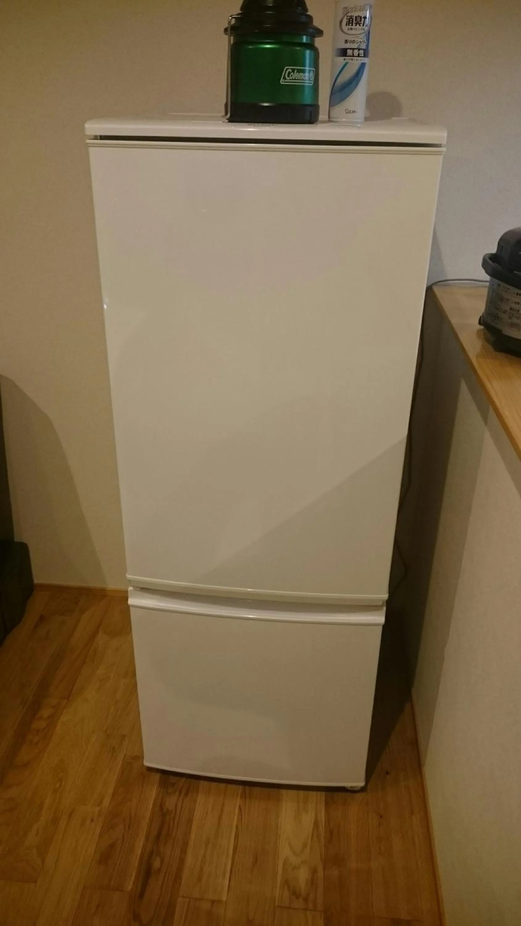 Kitchen or kitchenette in Rental Villa Ooishiso