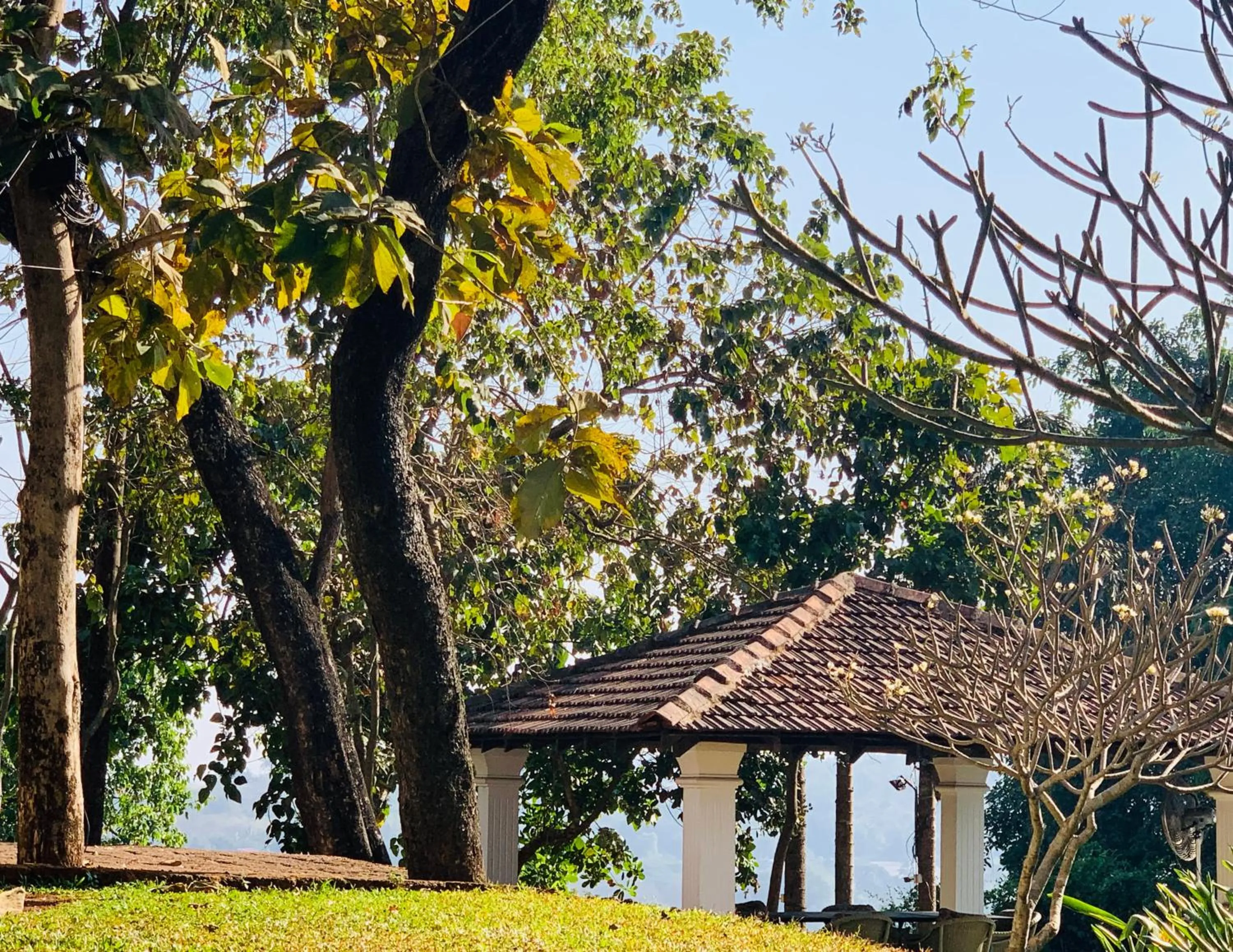 Natural landscape in The Postcard Velha, Goa