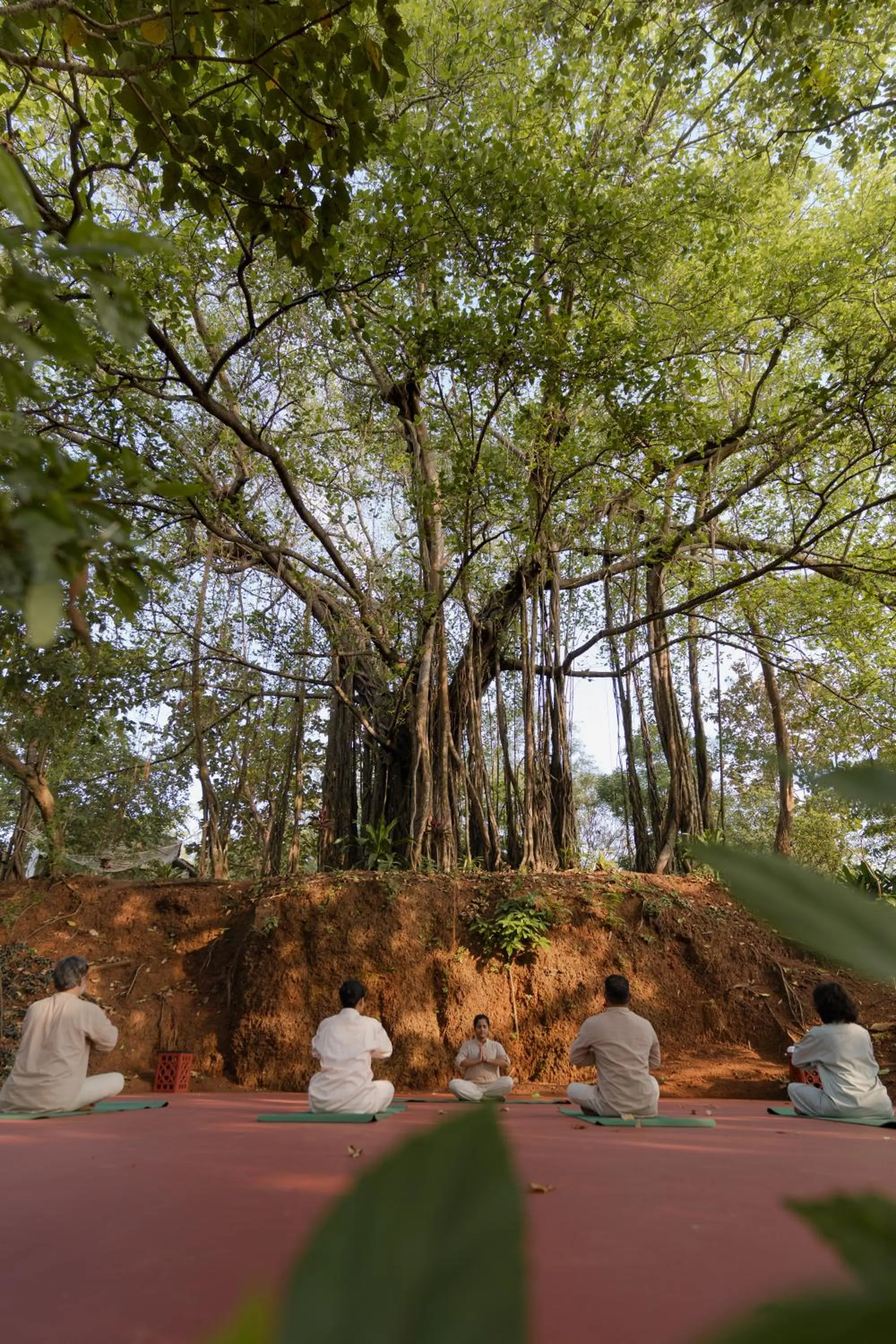 Spa and wellness centre/facilities in The Postcard Ayurveda Retreat, Old Goa, A Sitaram Ayurveda Experience