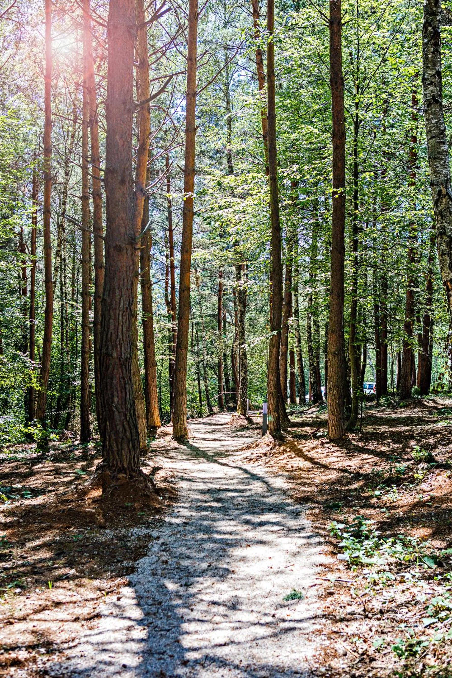 Nearby landmark in Tarcin Forest Resort & Spa Sarajevo - MGallery Collection