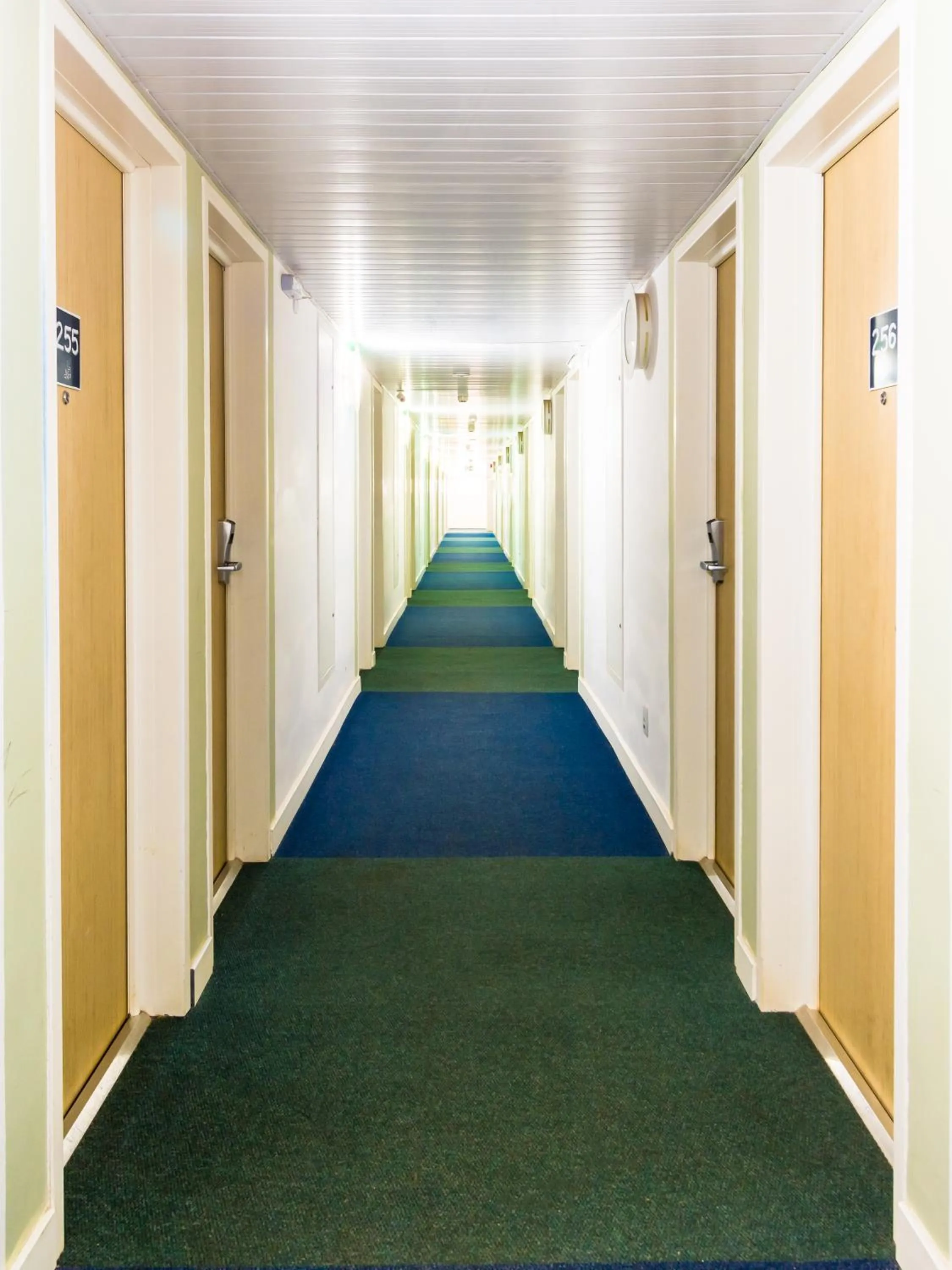 Decorative detail in ibis budget Sertaozinho