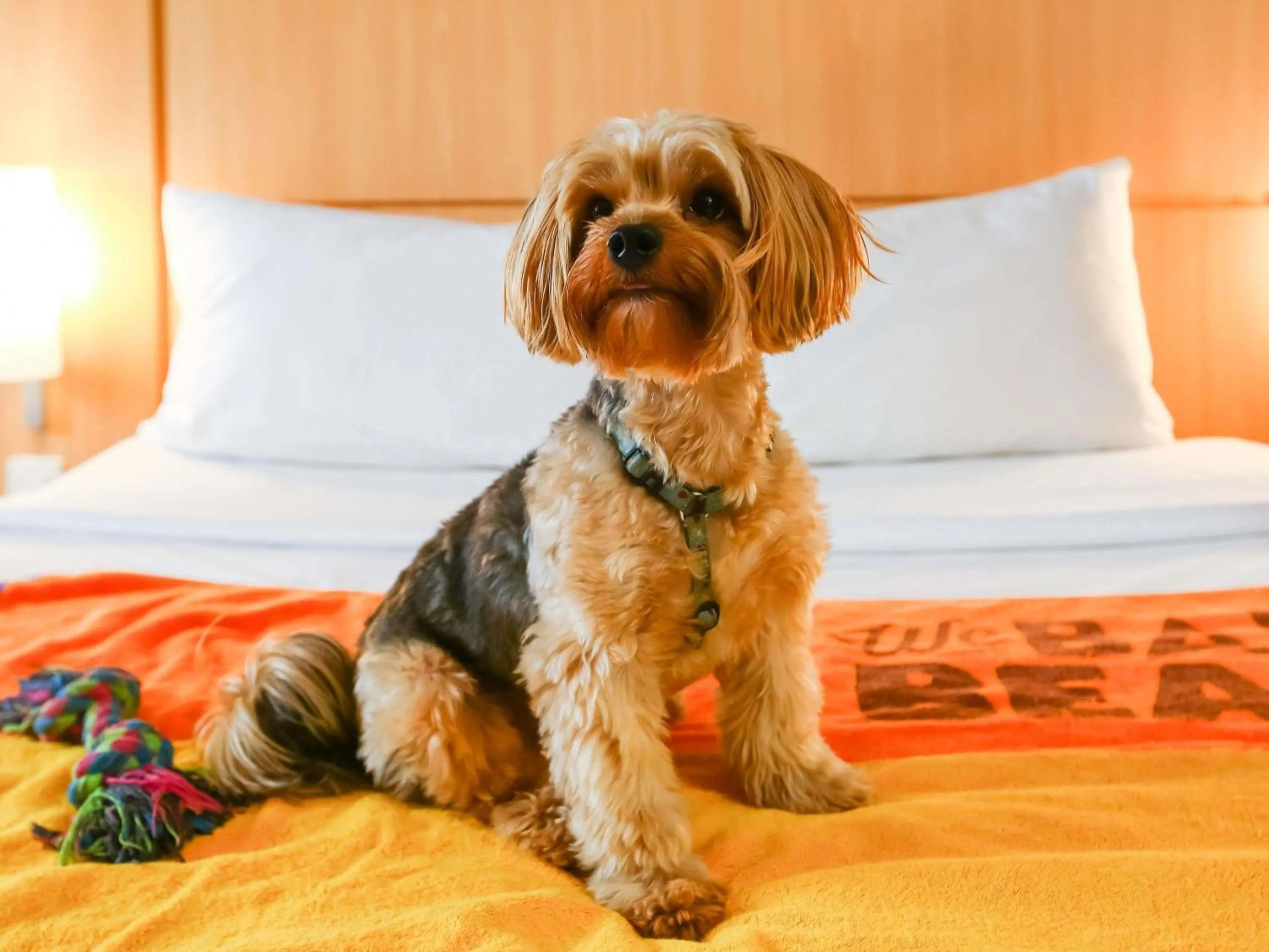 Other, Bed in ibis budget Rio de Janeiro Nova America