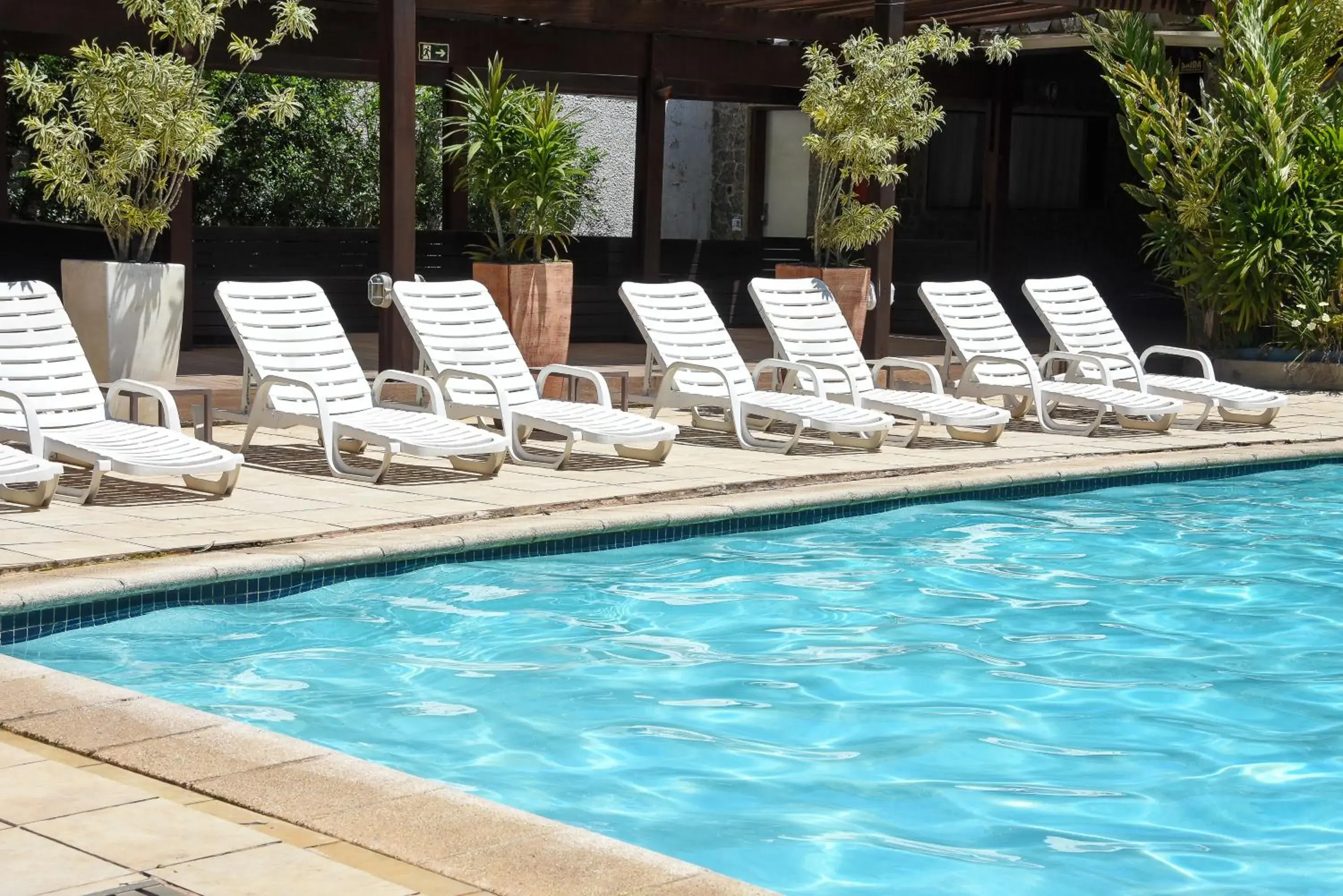 Swimming pool in Delphin Surf Hotel Swimming pool in Delphin Surf Hotel