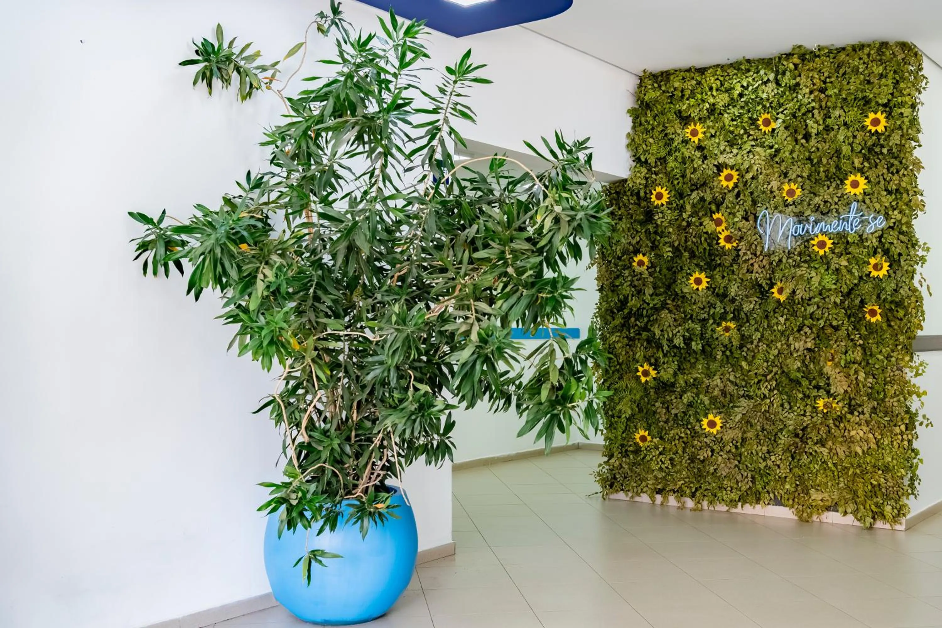 Lobby or reception in ibis budget Piracicaba