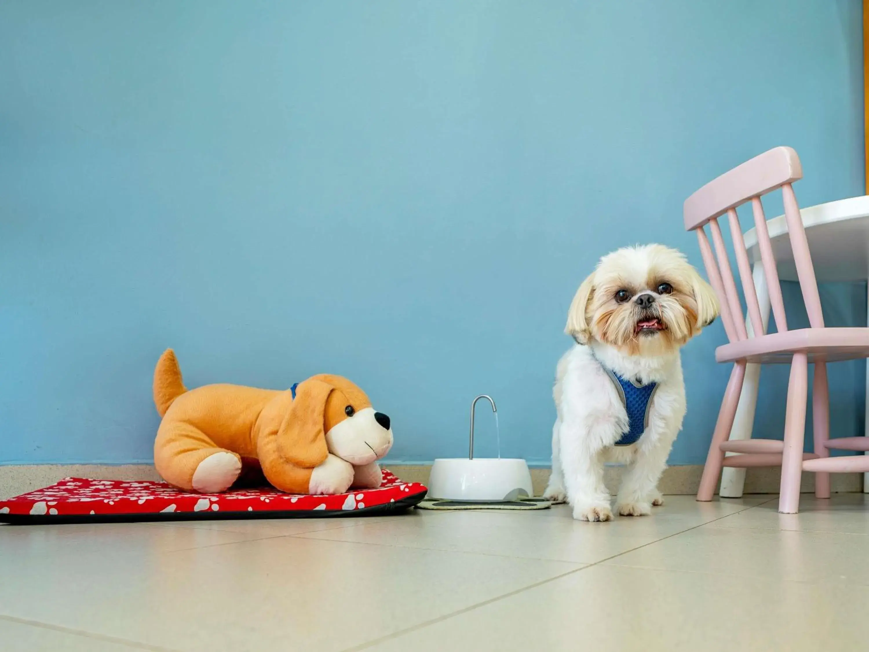 Property building in ibis budget Piracicaba Property building in ibis budget Piracicaba