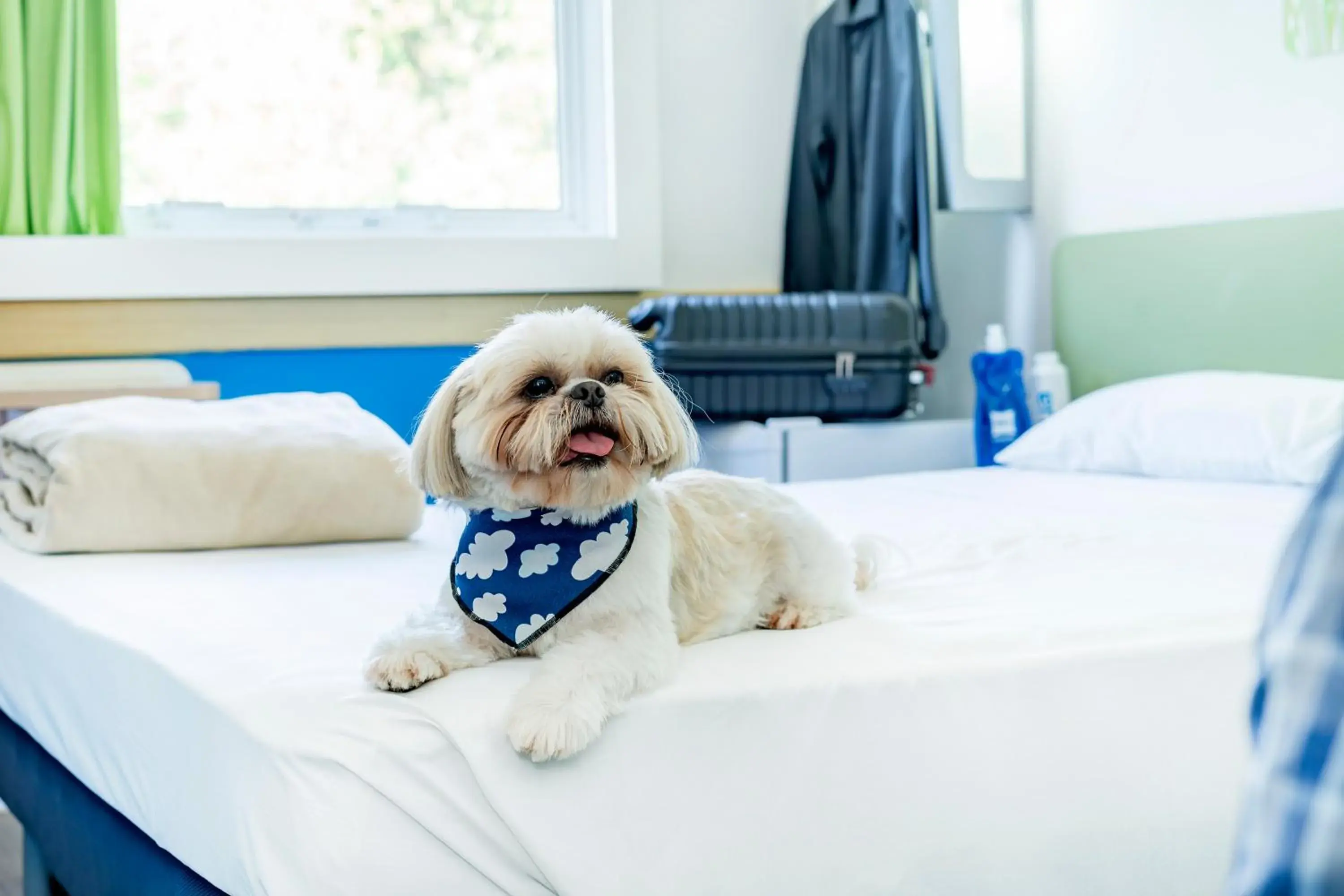 Facade/entrance, Bed in ibis budget Piracicaba Facade/entrance, Bed in ibis budget Piracicaba