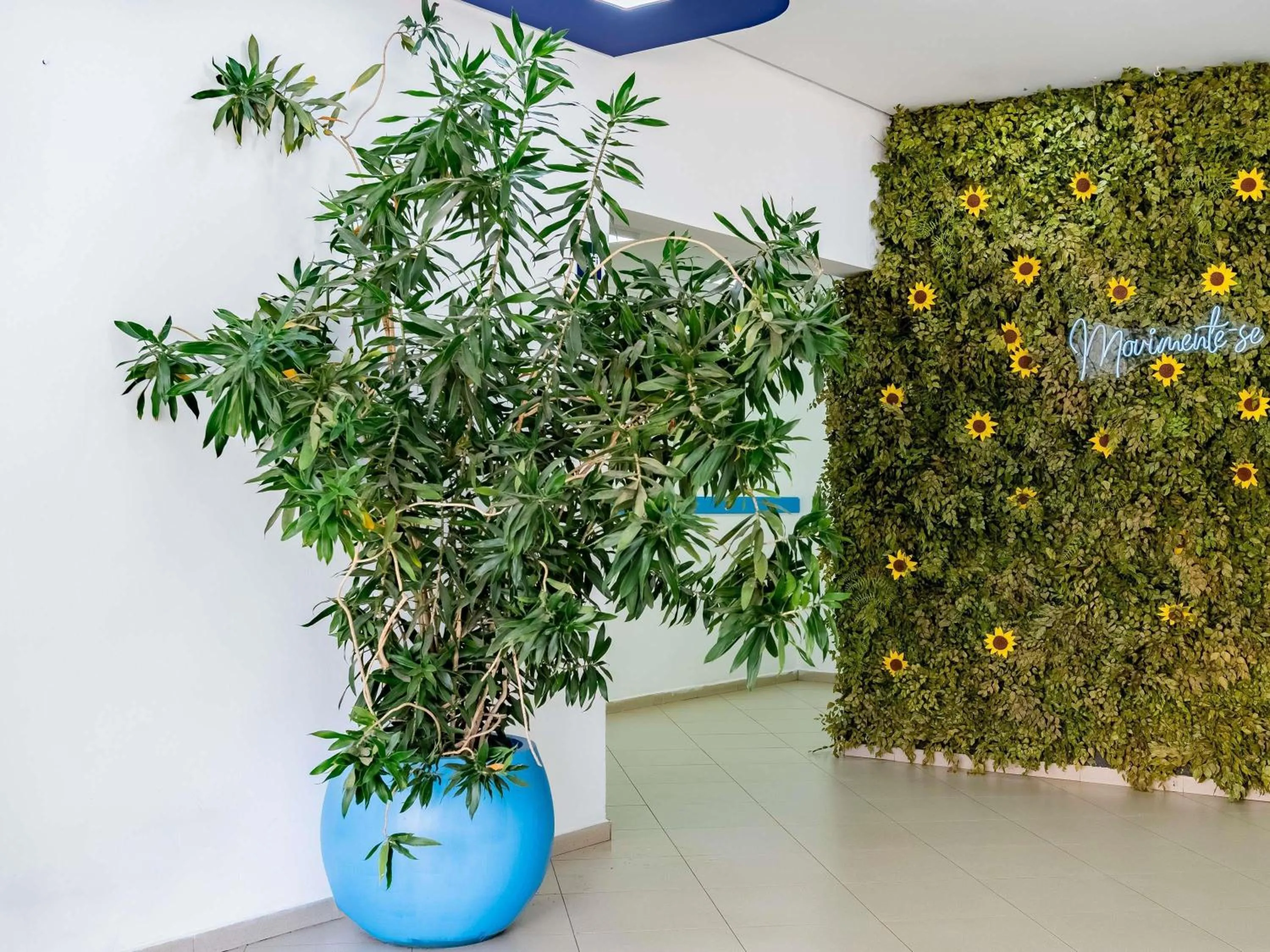 Property building in ibis budget Piracicaba