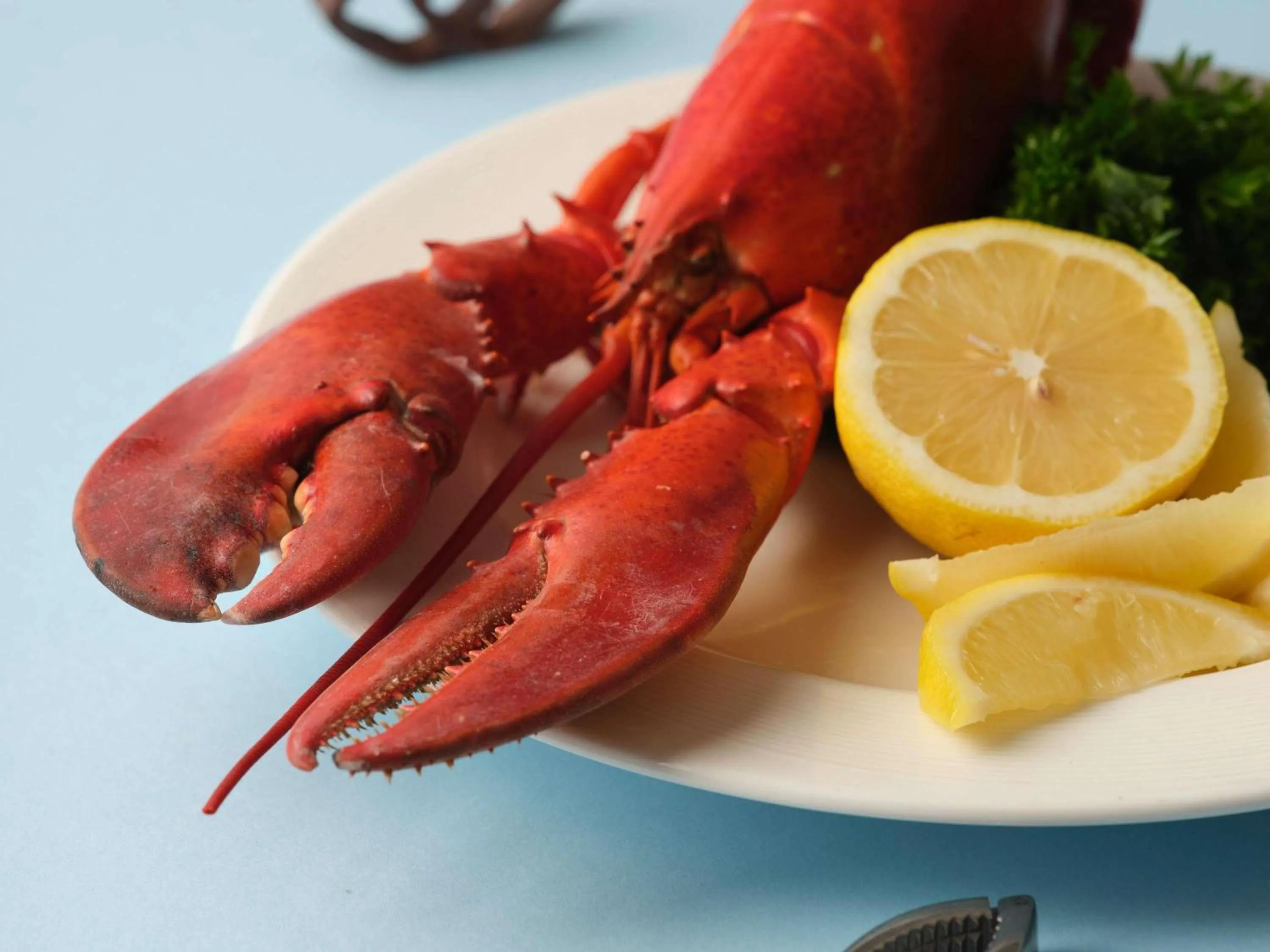 Restaurant/places to eat in Sofitel Kuala Lumpur Damansara