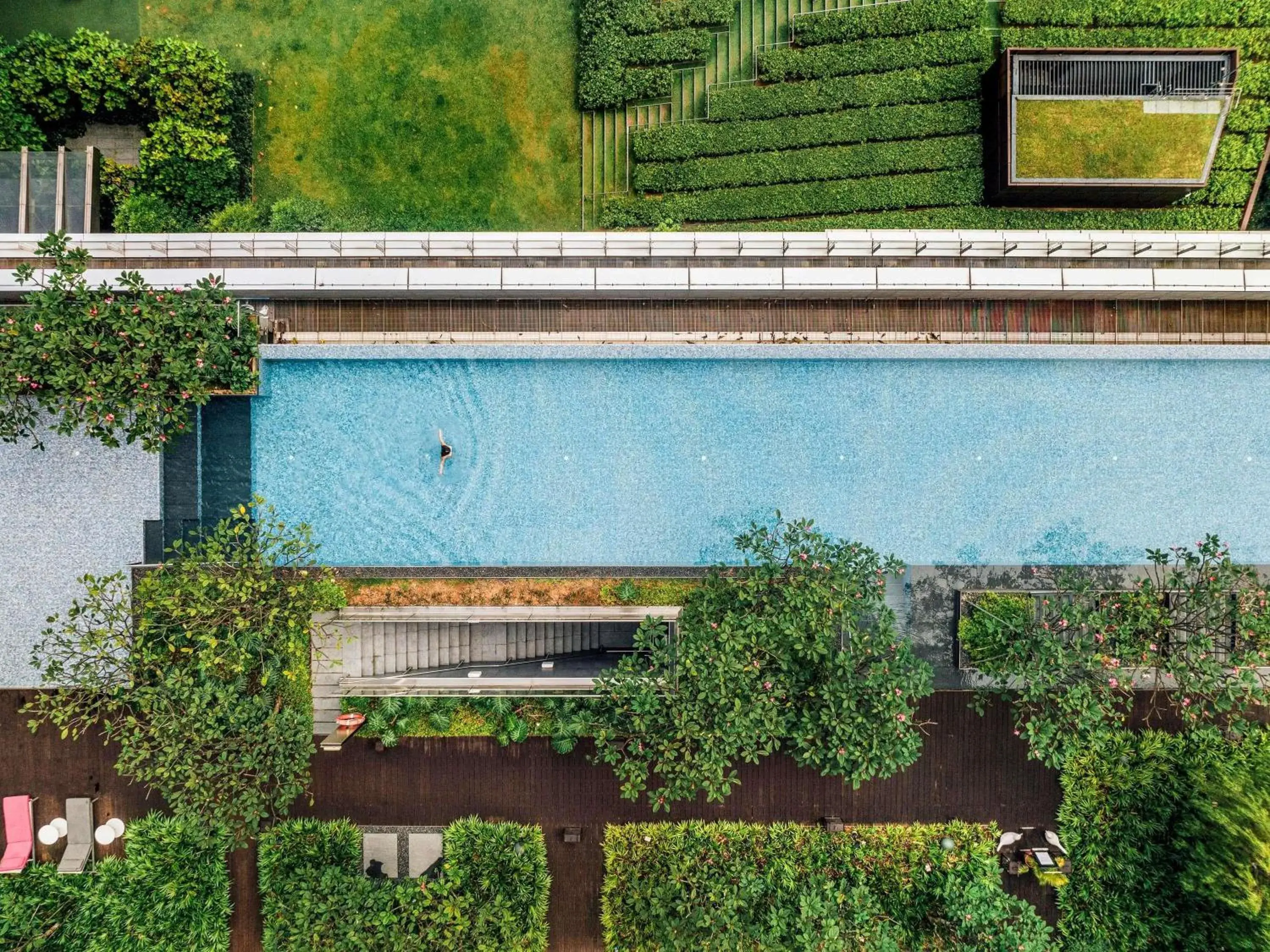 Pool view in Sofitel Singapore City Centre Pool view in Sofitel Singapore City Centre