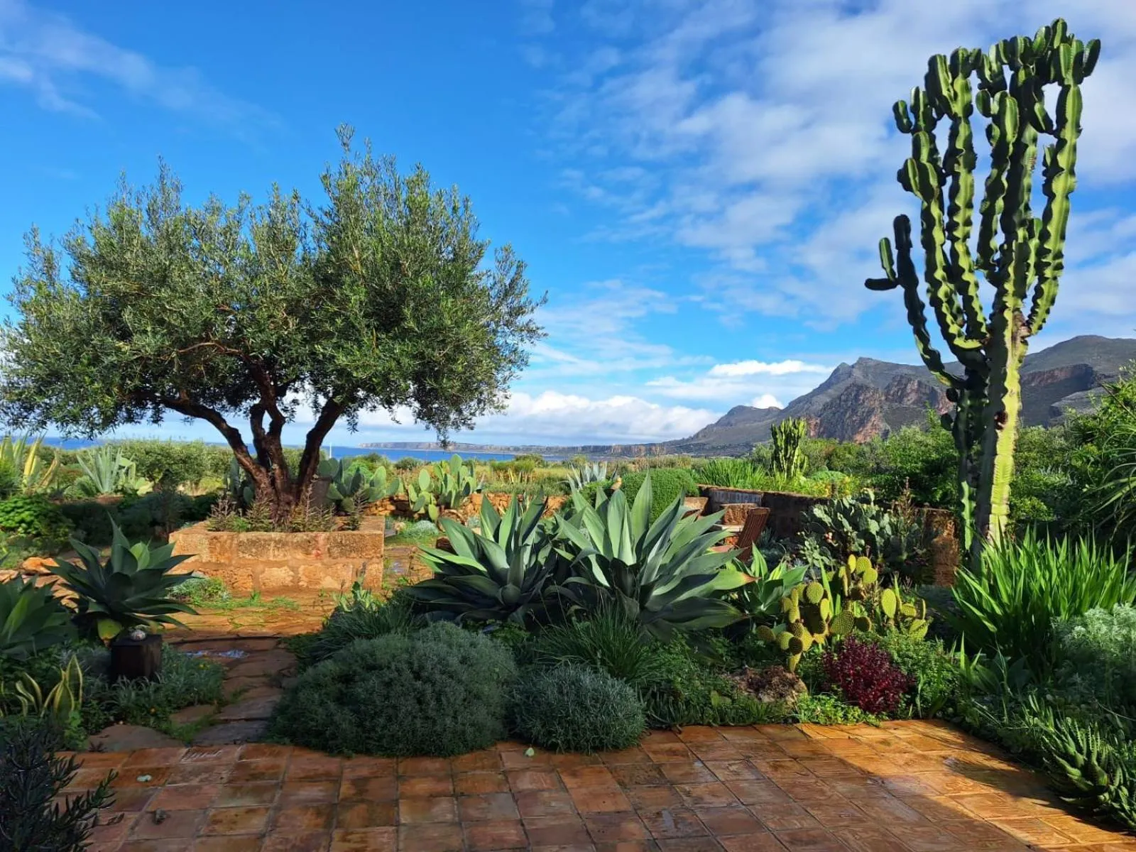 Breakfast in Baglio Giammaccaro