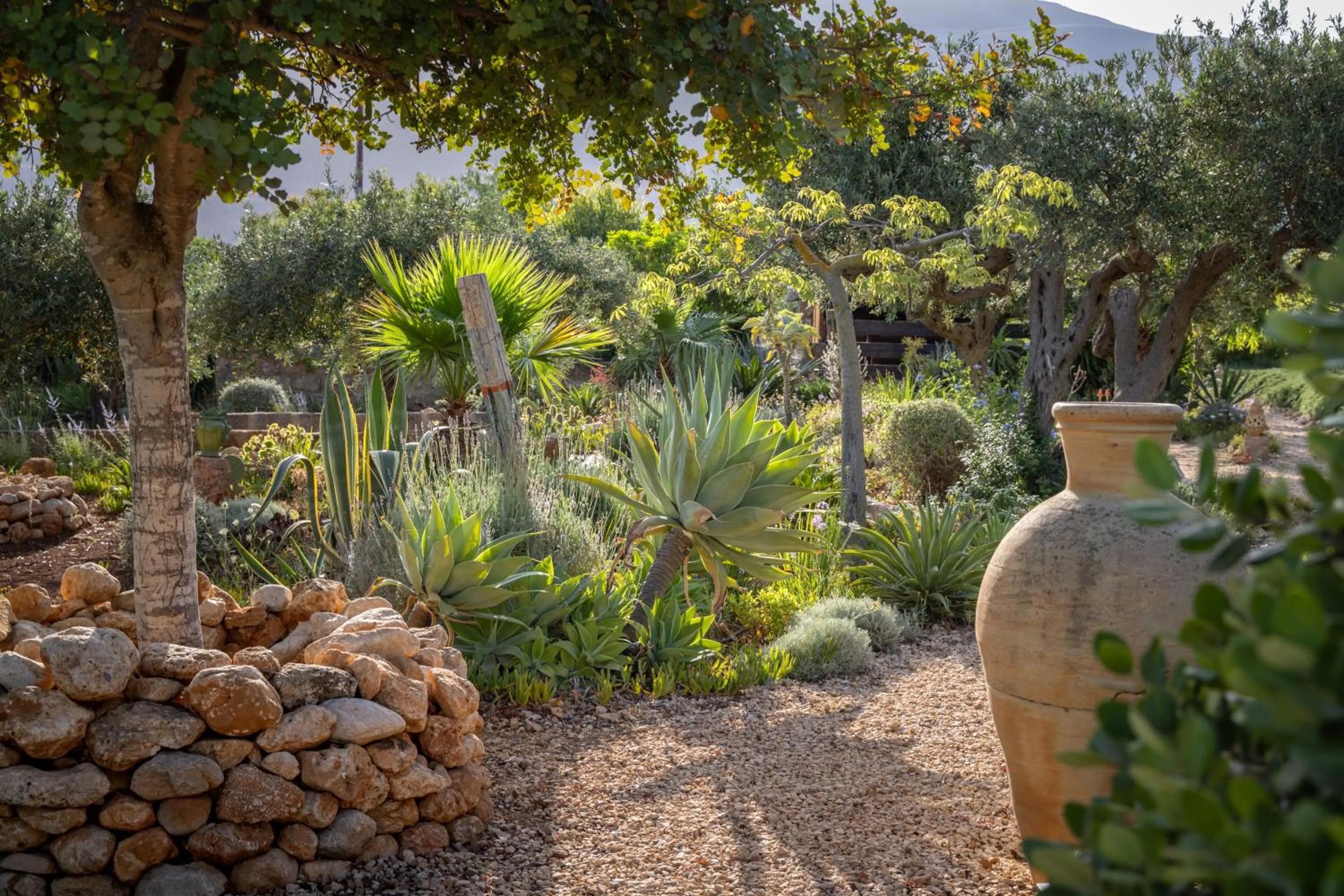 Garden in Baglio Giammaccaro