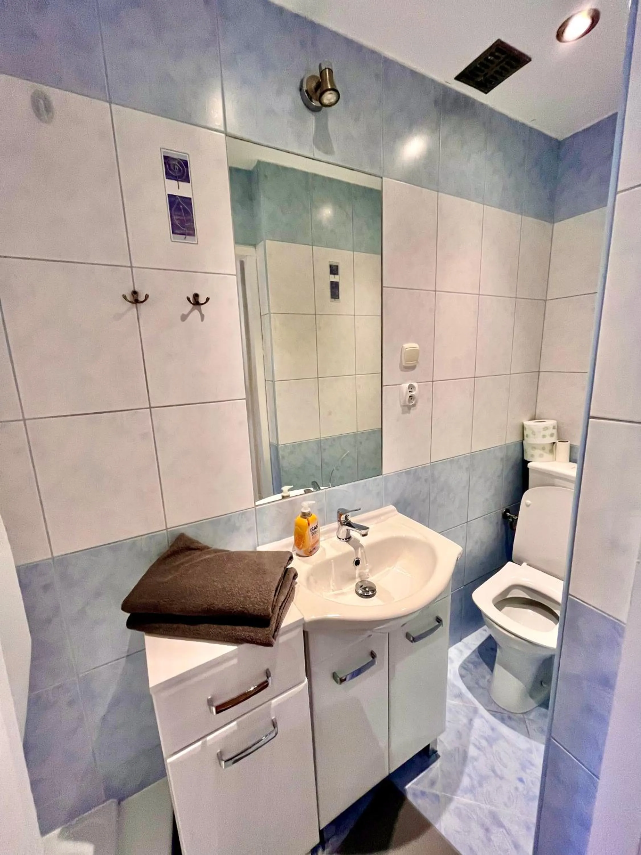 Toilet in Pokoje Gościnne Wiślna