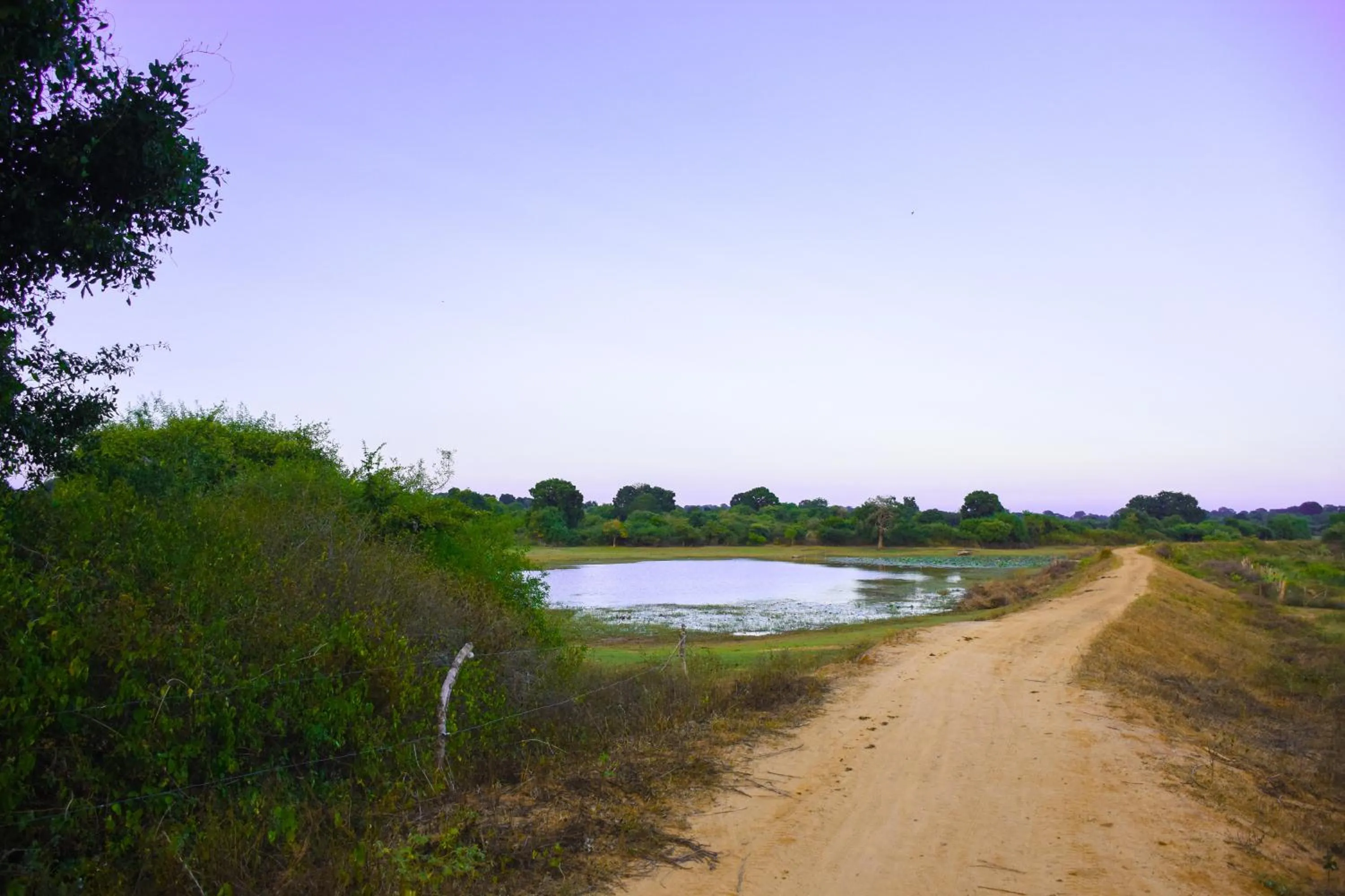 Natural landscape in Hide Yala
