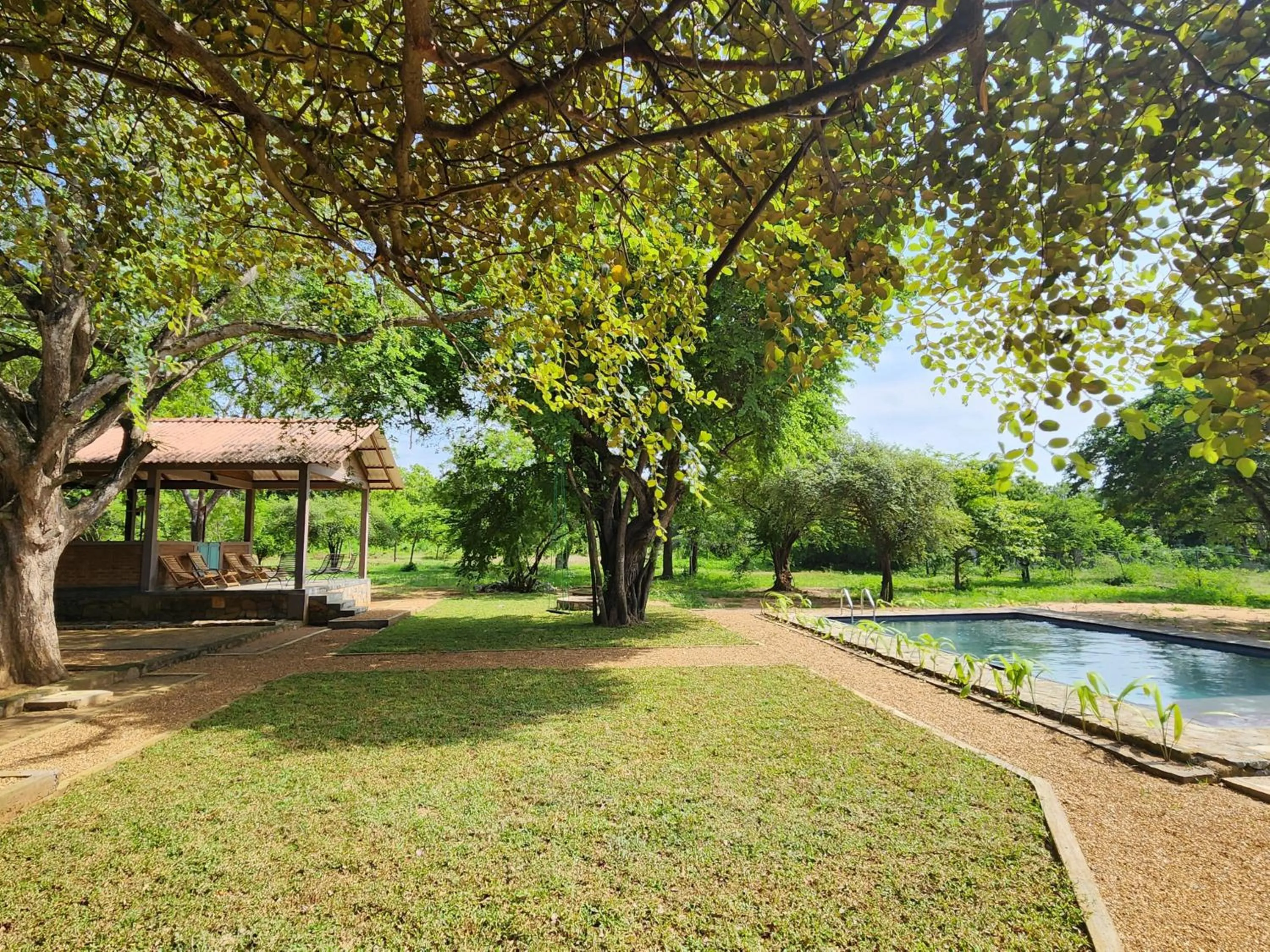 Property building in Hide Yala