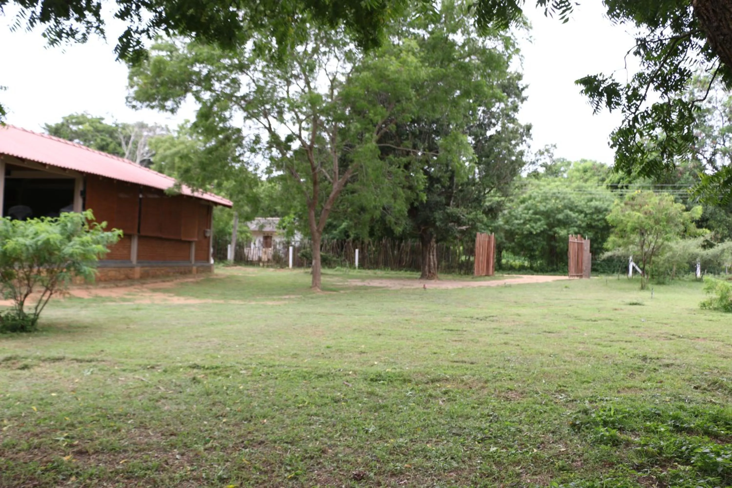 Garden in Hide Yala