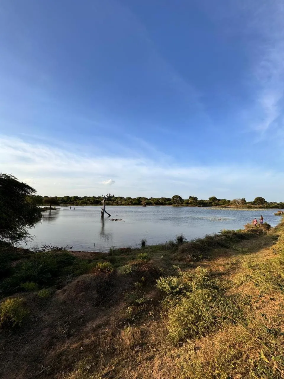 Natural landscape in Hide Yala