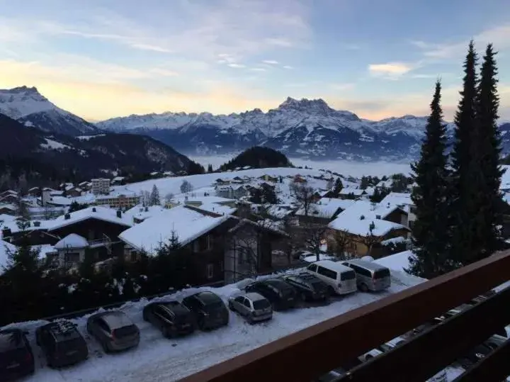 Apartment Leysin - Swiss Alps - Fully Renovated ! Apartment Leysin - Swiss Alps - Fully Renovated !