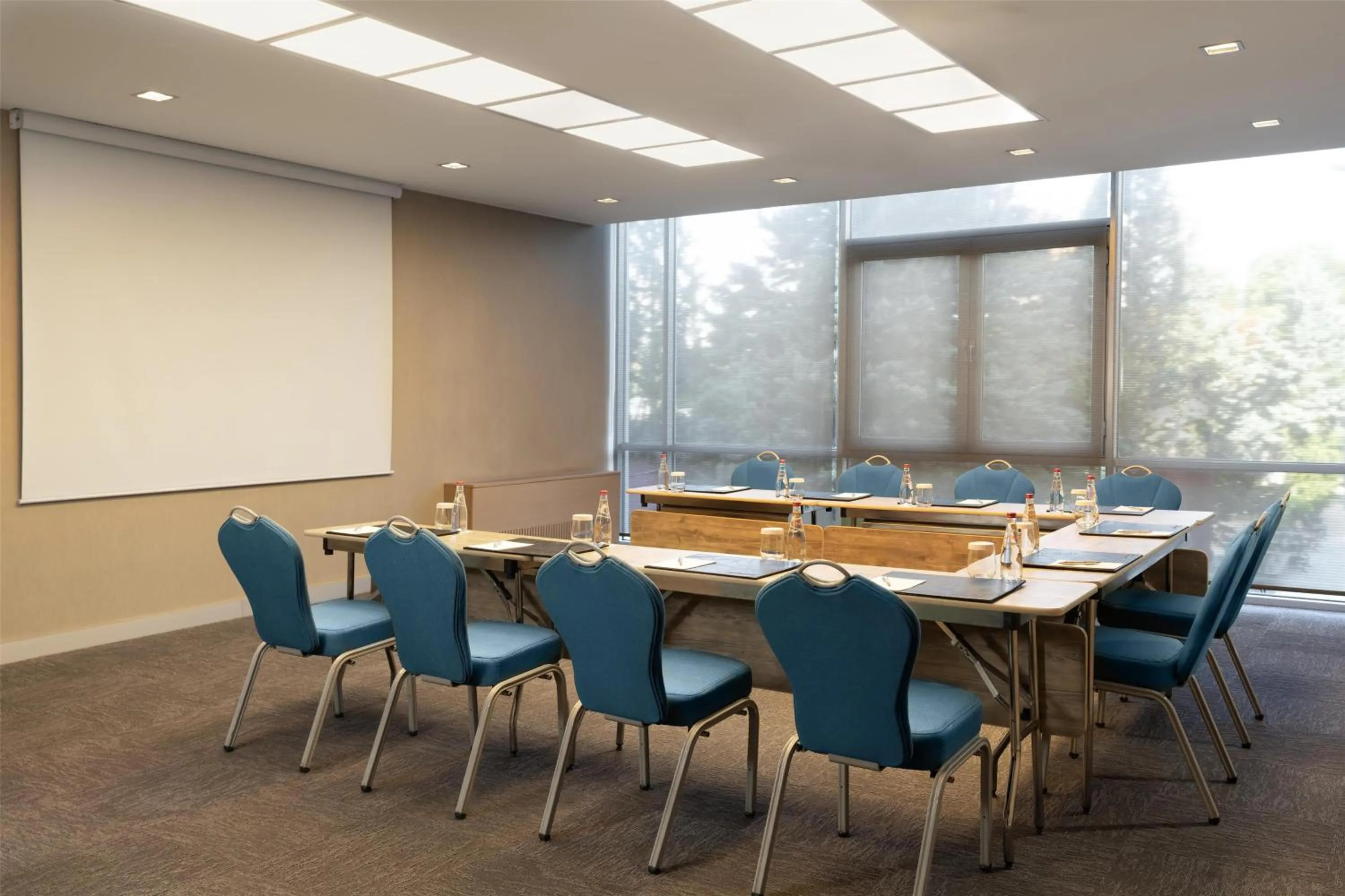 Meeting/conference room in Radisson Blu Ankara
