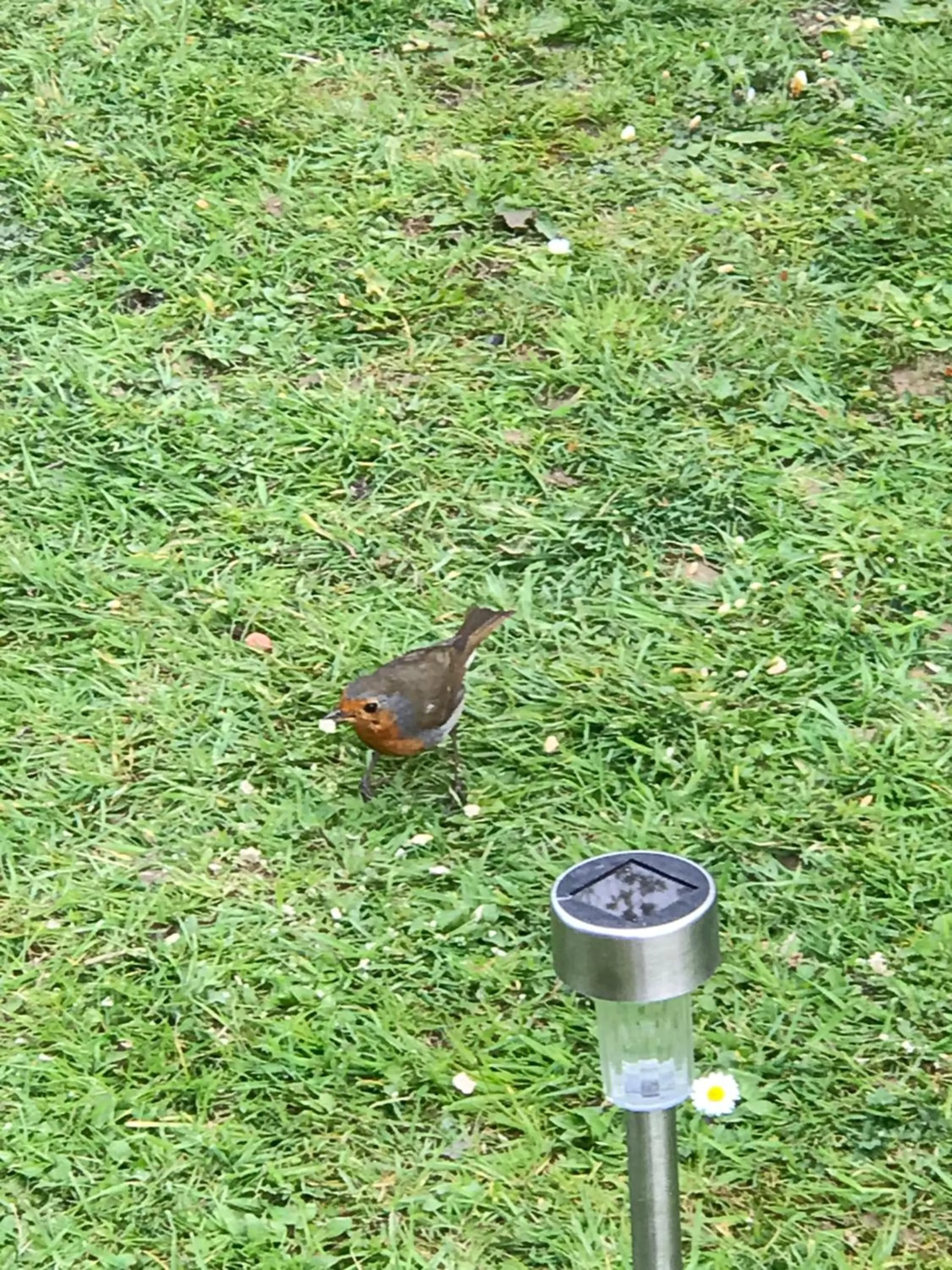 Property building in West Lodge B&B