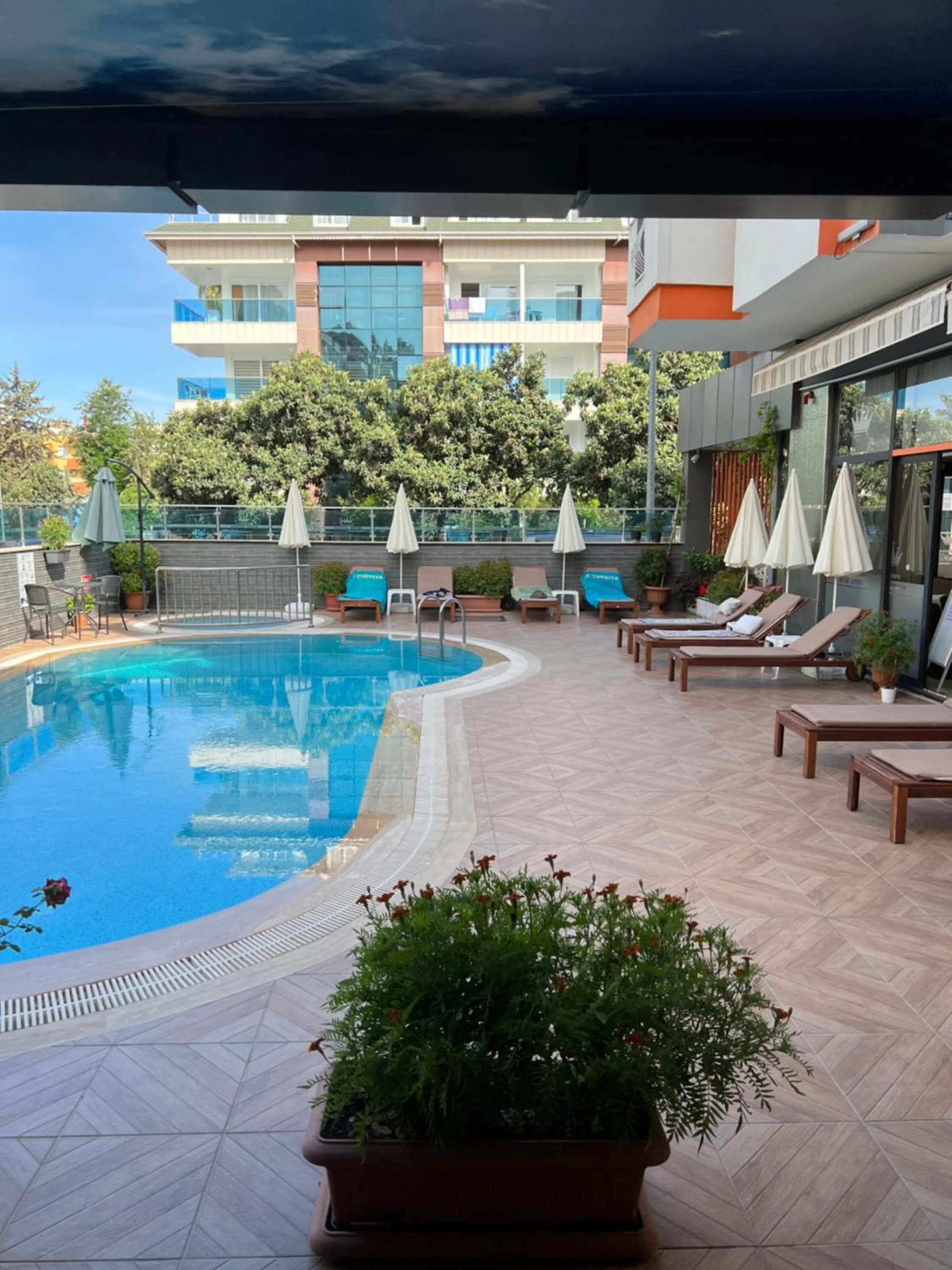 Day in Cleopatra King Apart