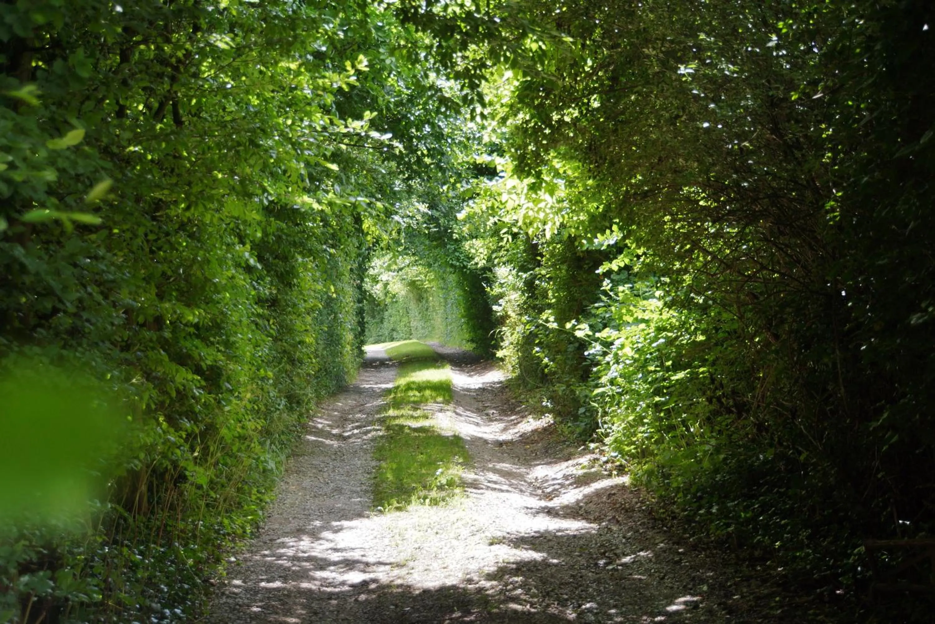 Facade/entrance in Le Prince Gourmand