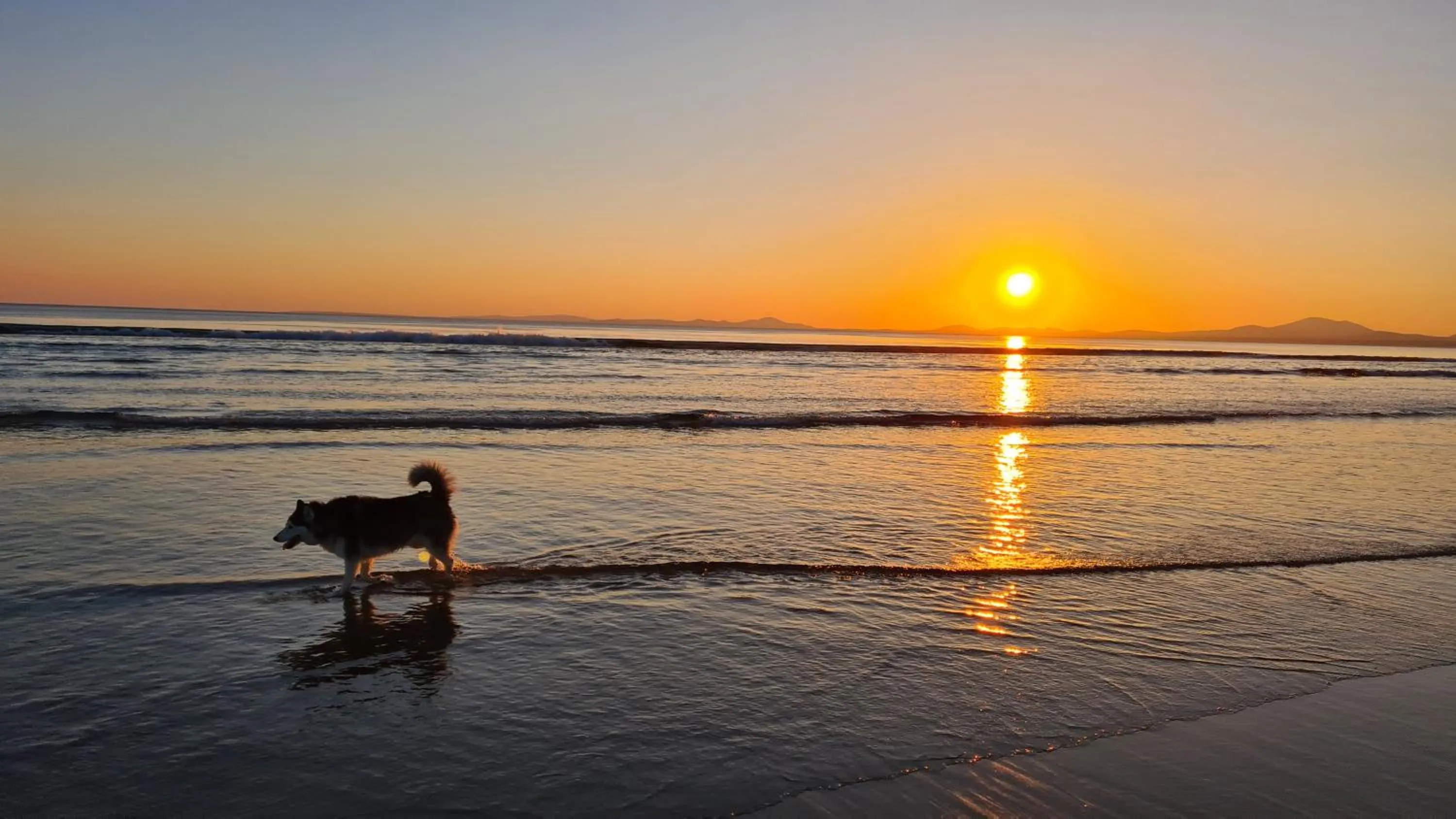 Natural landscape in Y Branwen Restaurant & Rooms - Adult Only and Dog Friendly