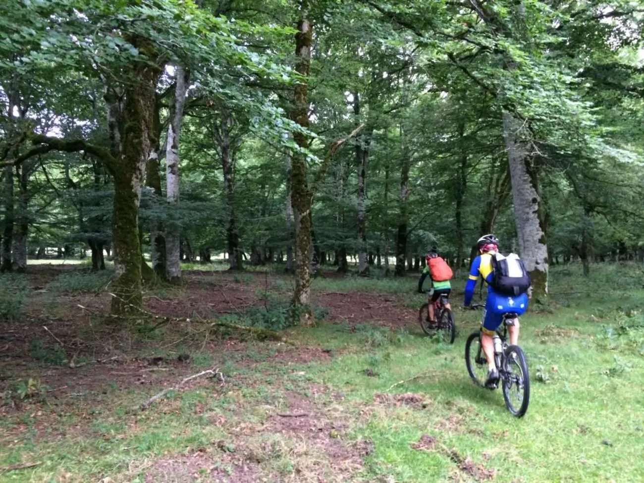Cycling in Camping La Ribera Salada