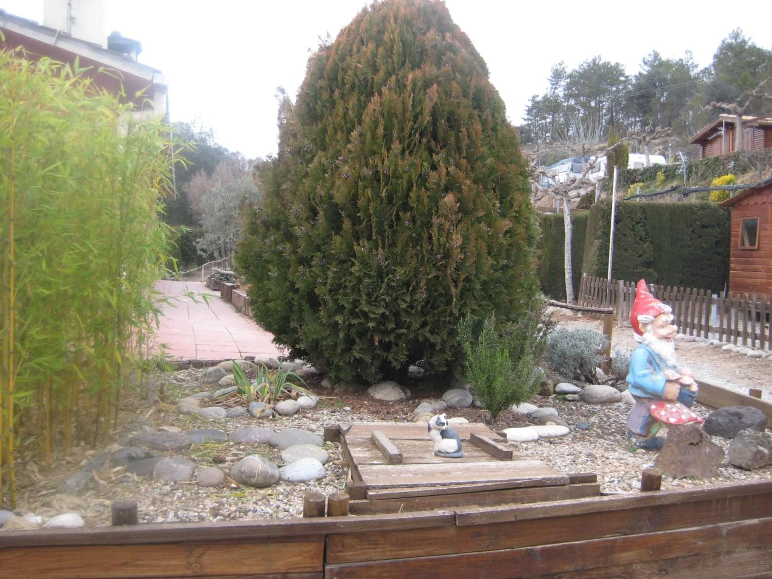 Area and facilities in Camping La Ribera Salada