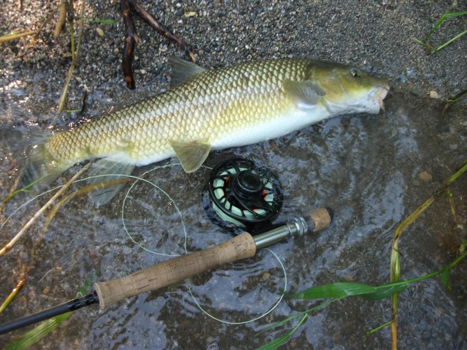 Fishing in Camping La Ribera Salada