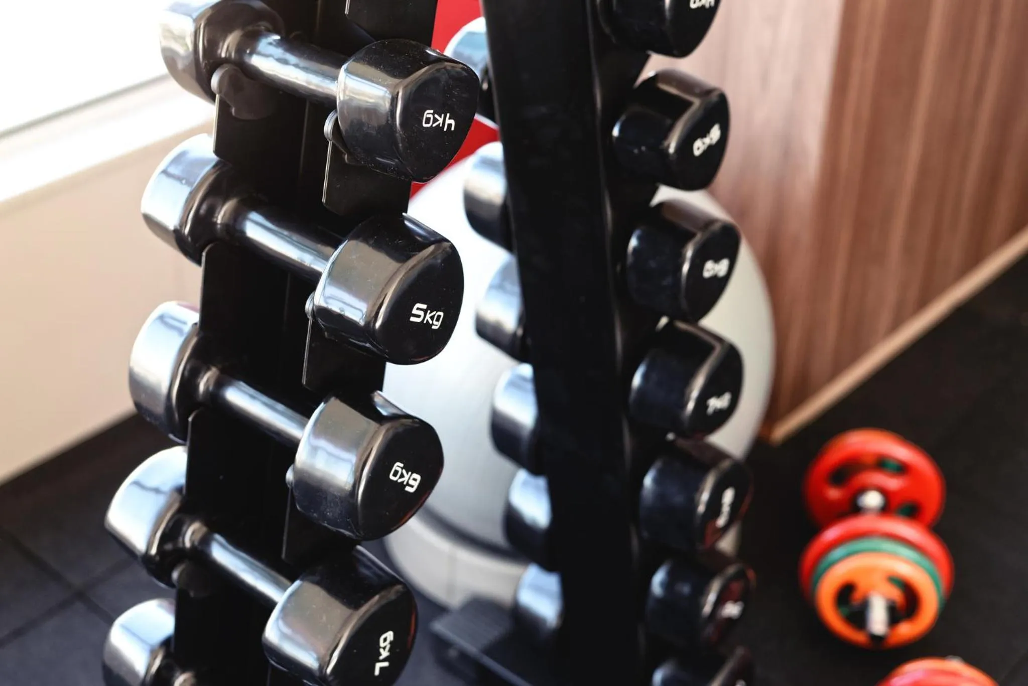 Fitness centre/facilities in Dubai Suites