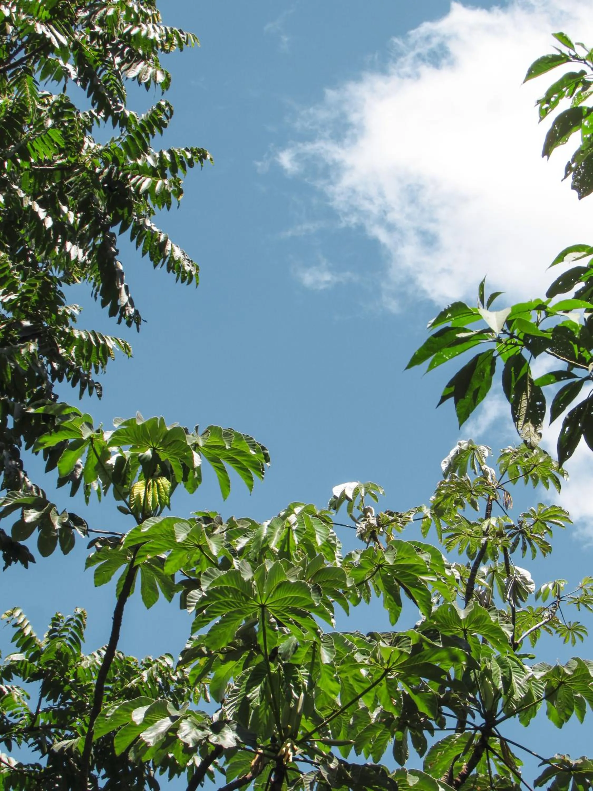Selvaje Lodge Iguazu
