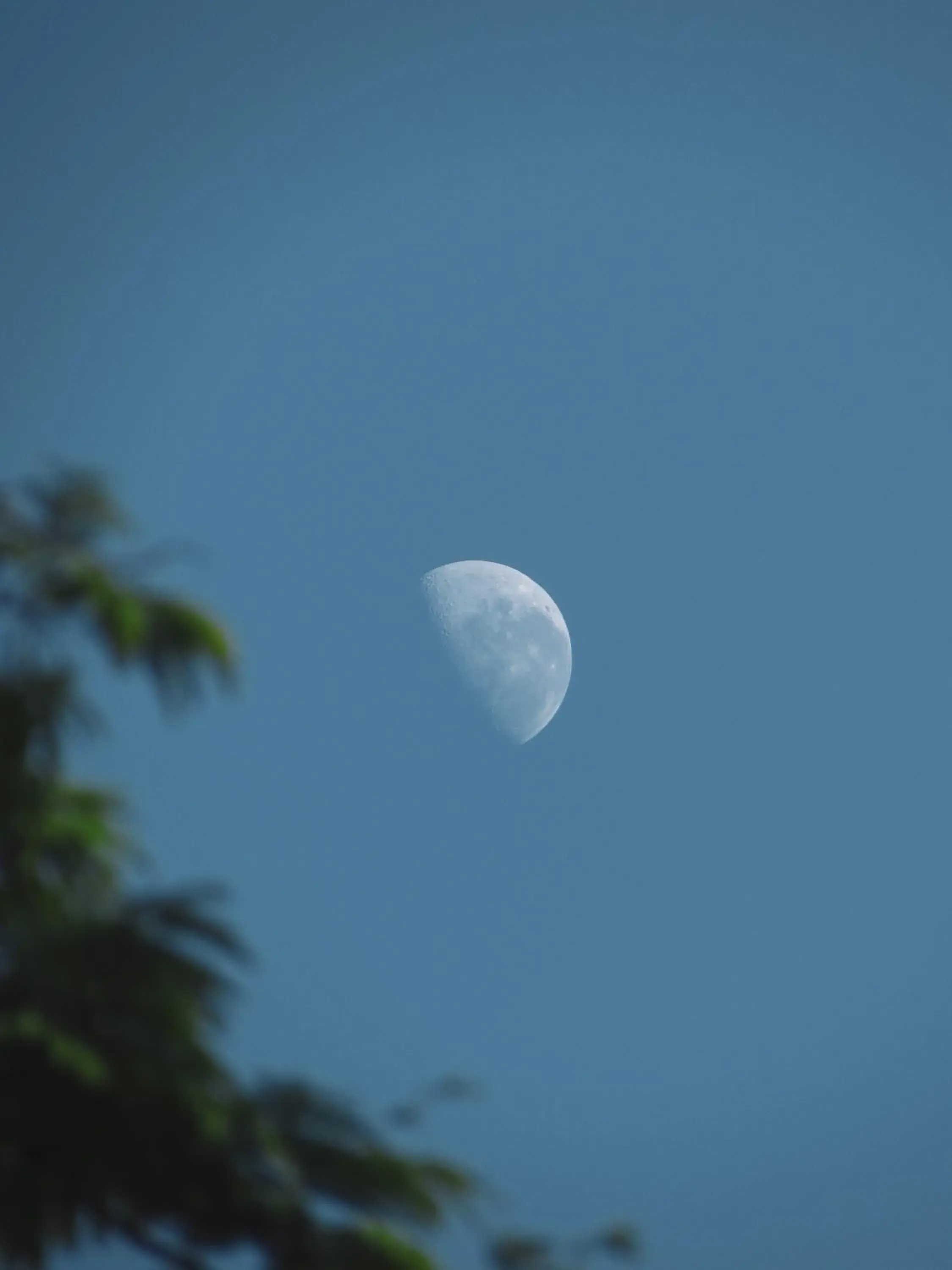 Selvaje Lodge Iguazu Selvaje Lodge Iguazu