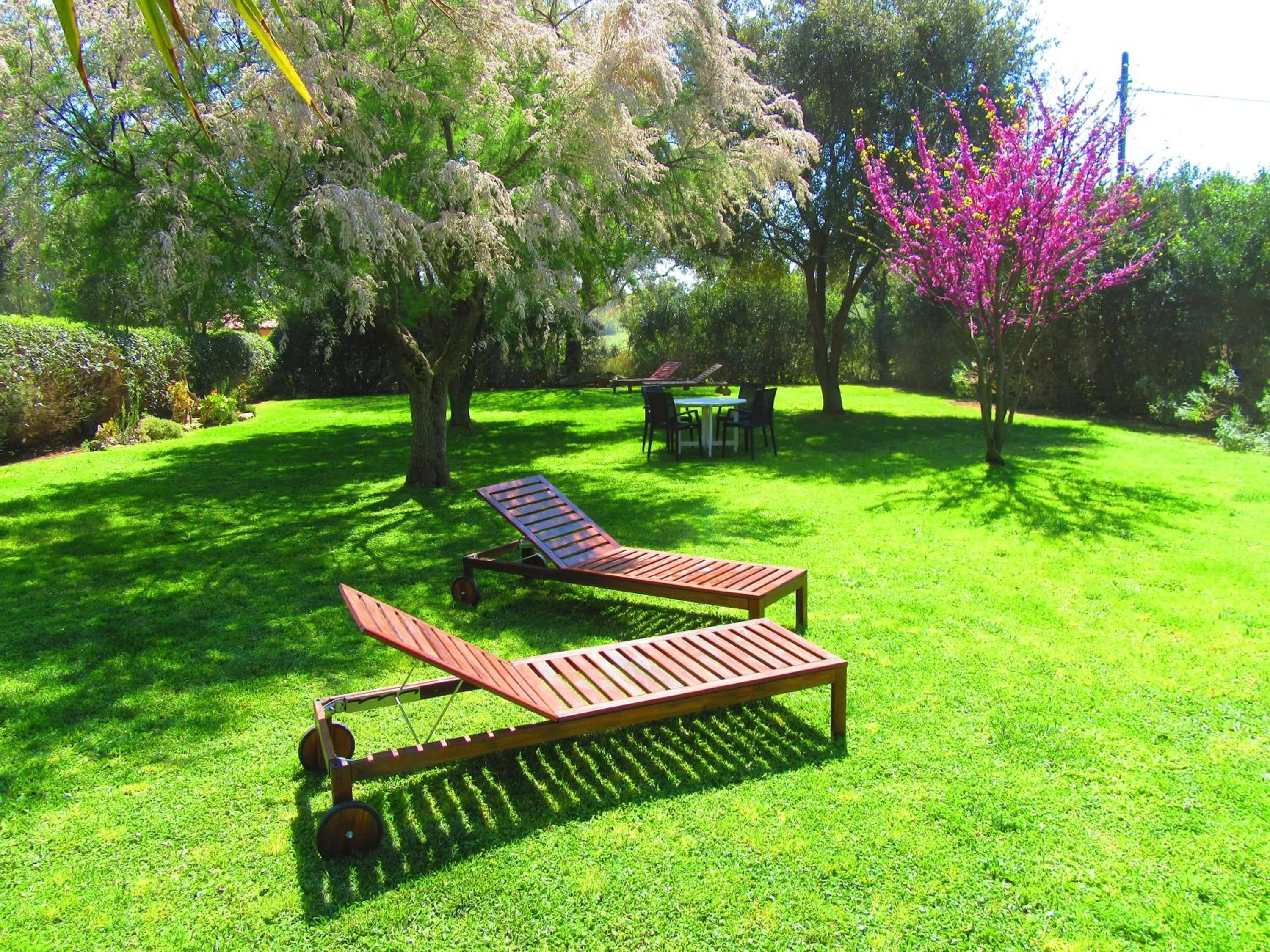 Living room in Agriturismo Serignano alle Rocchette