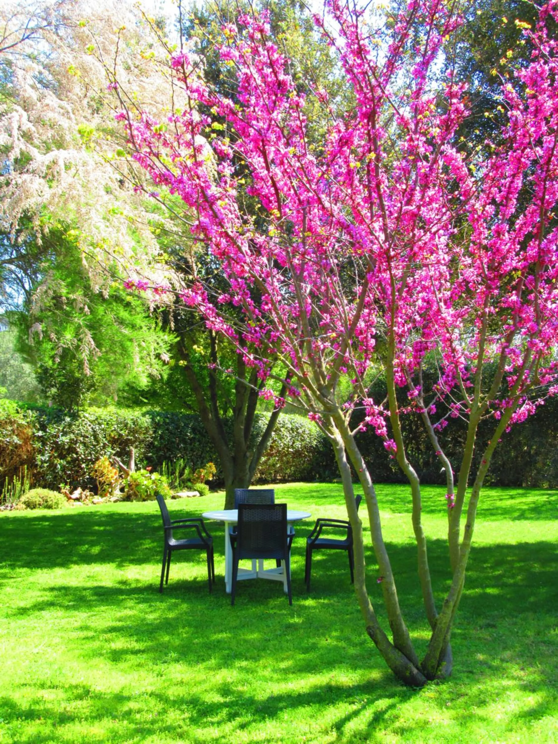 Living room in Agriturismo Serignano alle Rocchette