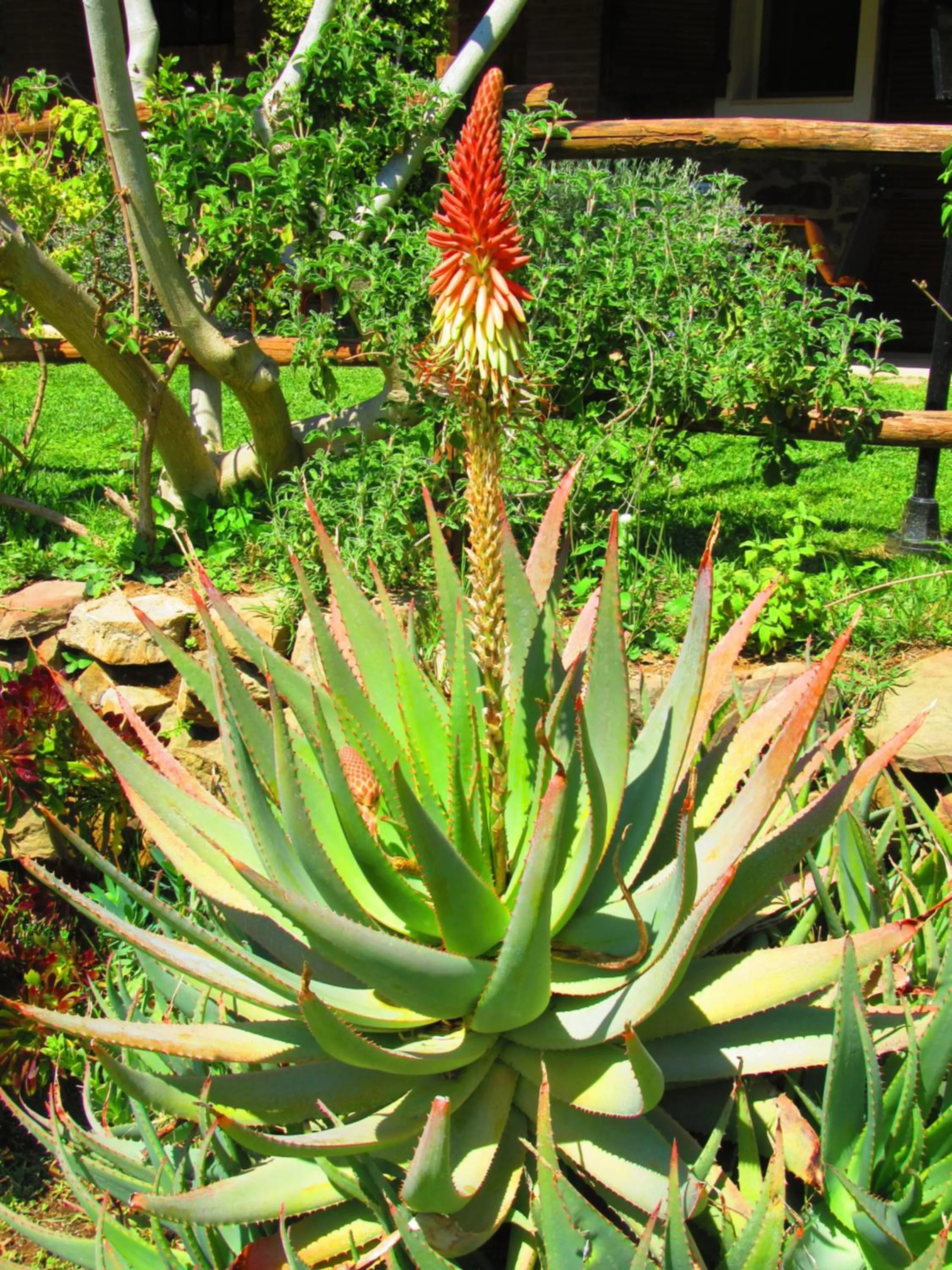 Living room in Agriturismo Serignano alle Rocchette