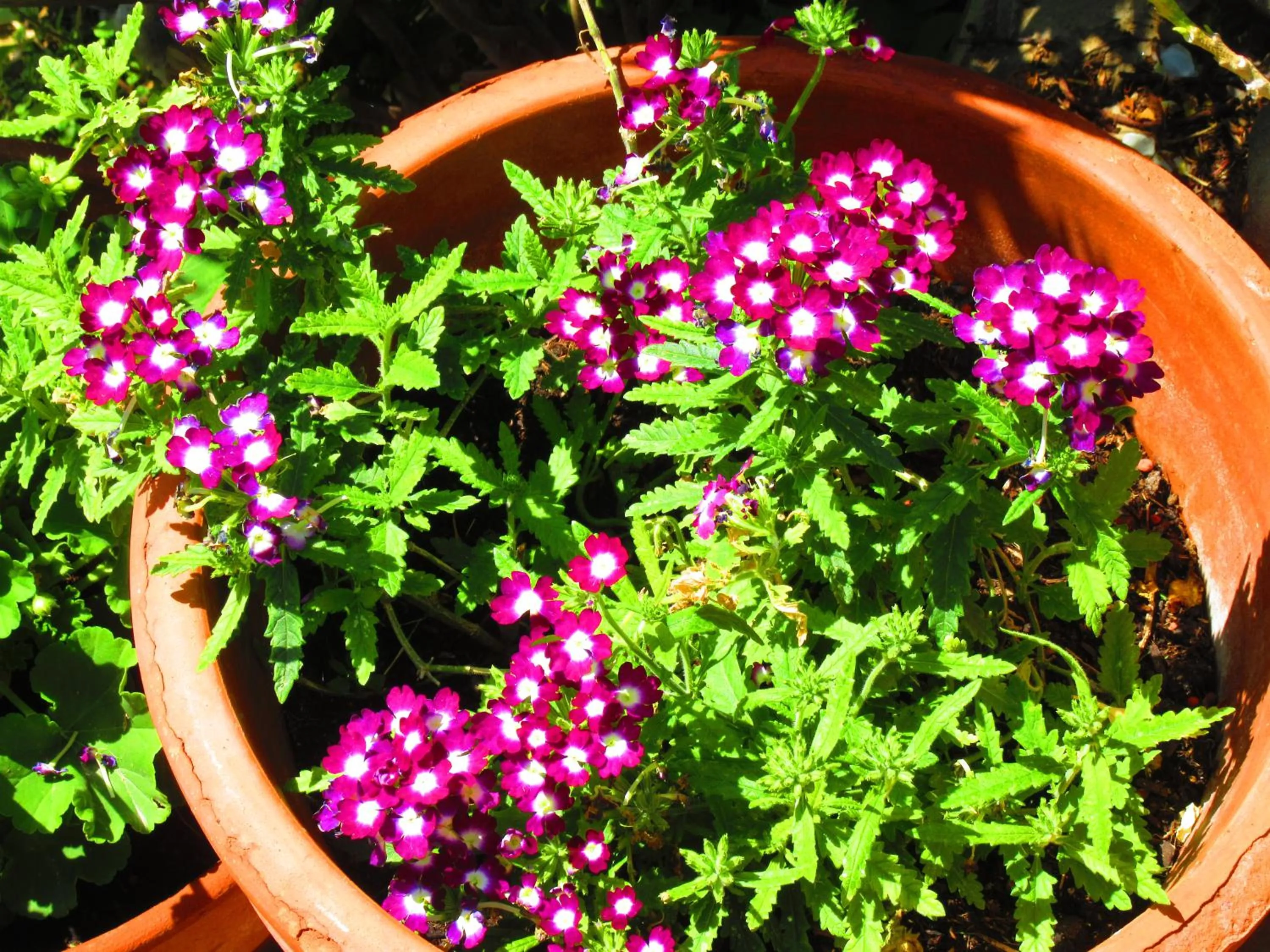 Agriturismo Serignano alle Rocchette