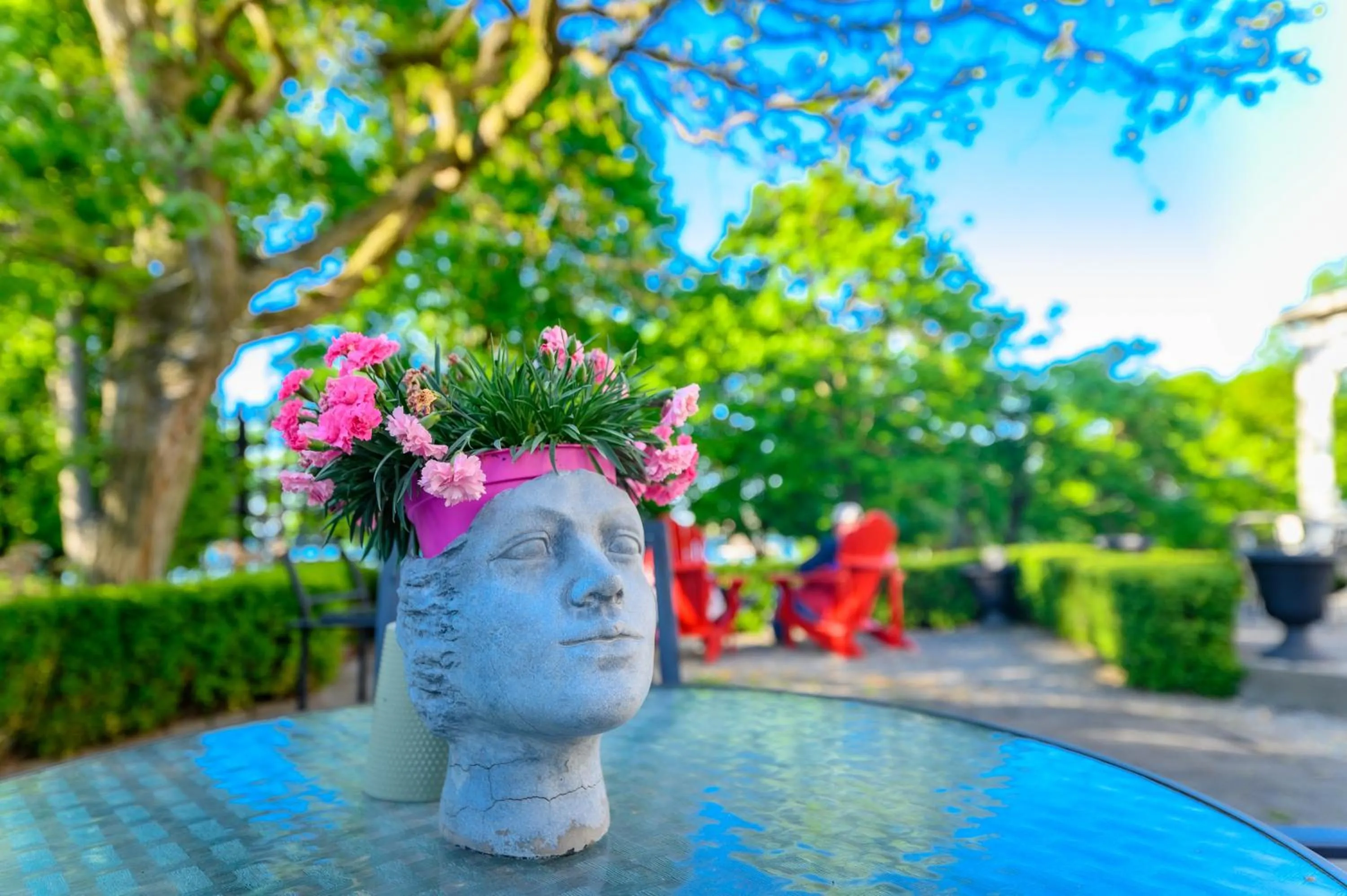 Garden in The Old Bank House
