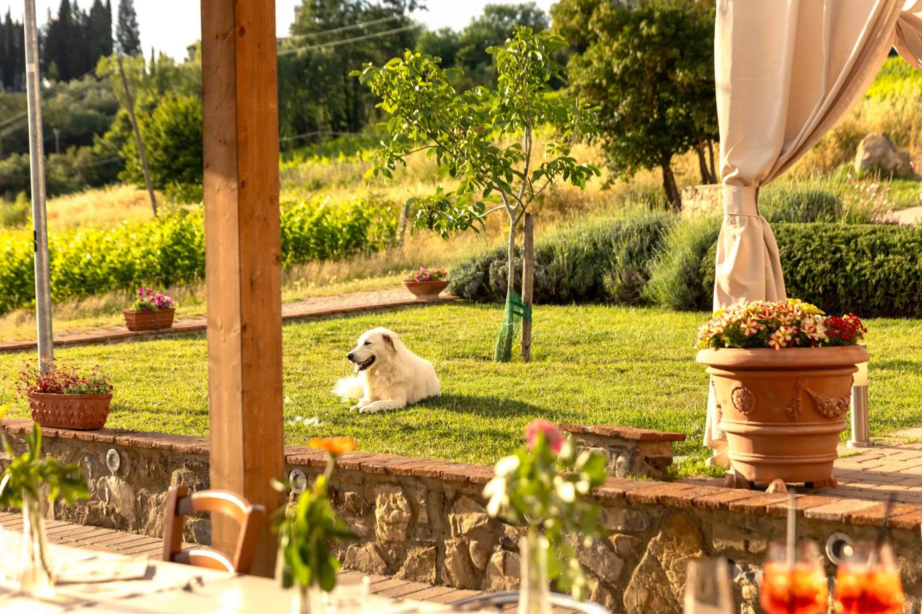 Garden in Azienda Agricola I Colli di Marliano