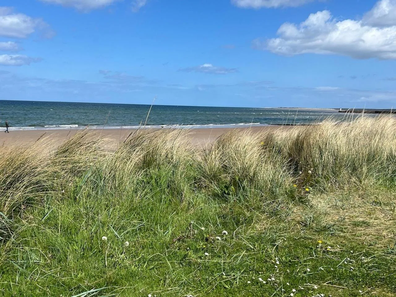 Sunny Brae Bed & Breakfast