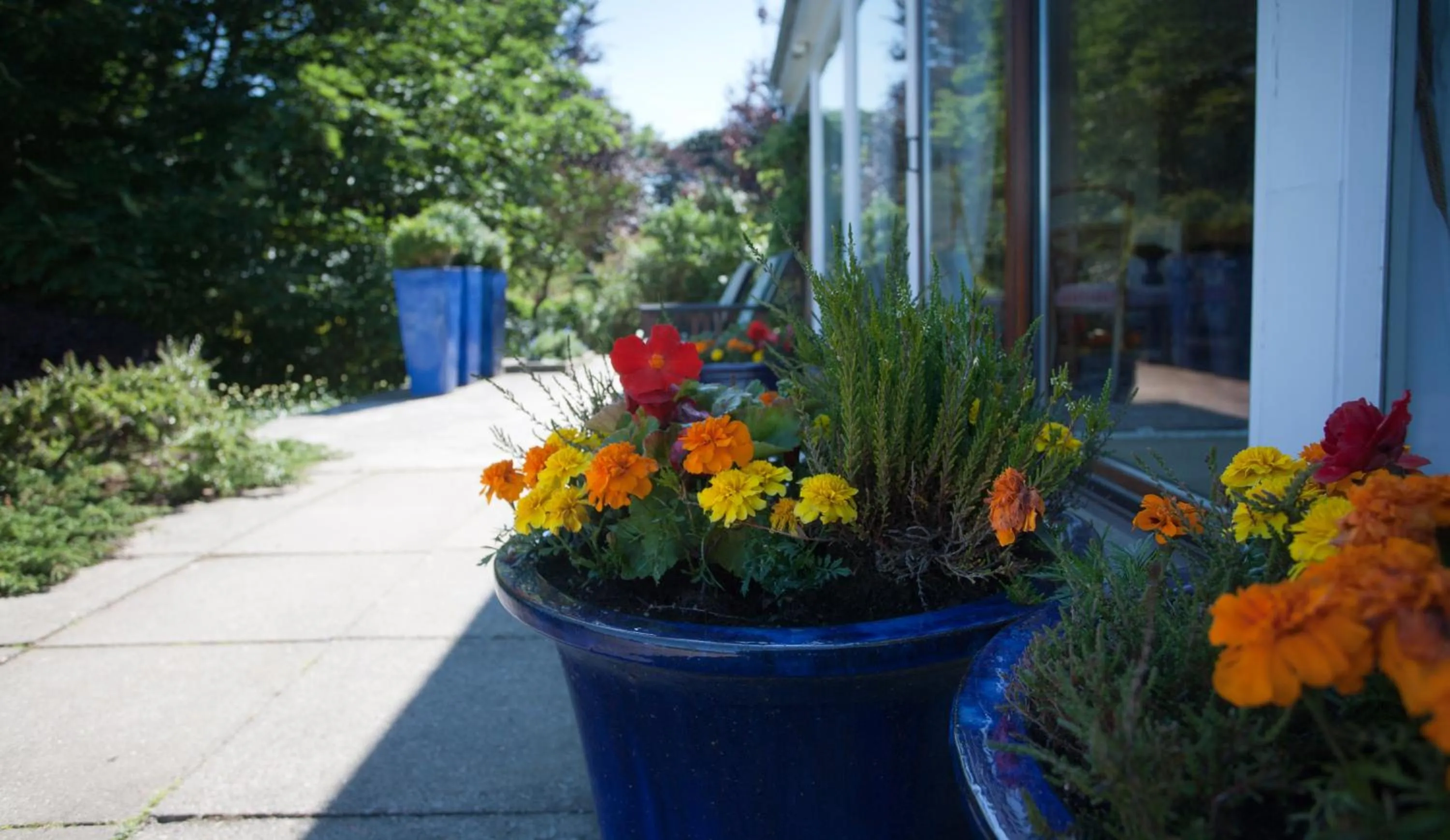 Facade/entrance in Sunny Brae Bed & Breakfast