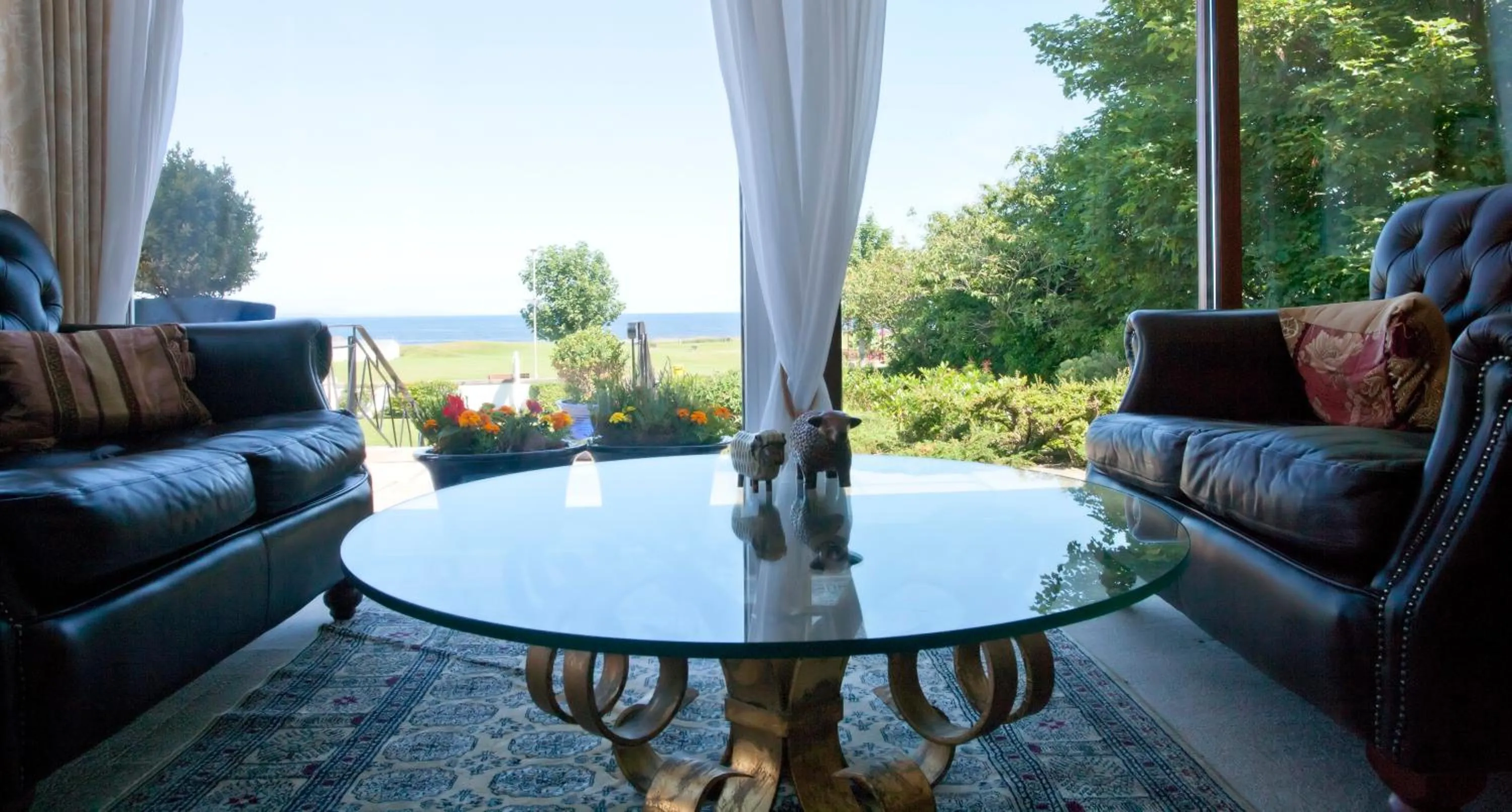 Lounge or bar in Sunny Brae Bed & Breakfast