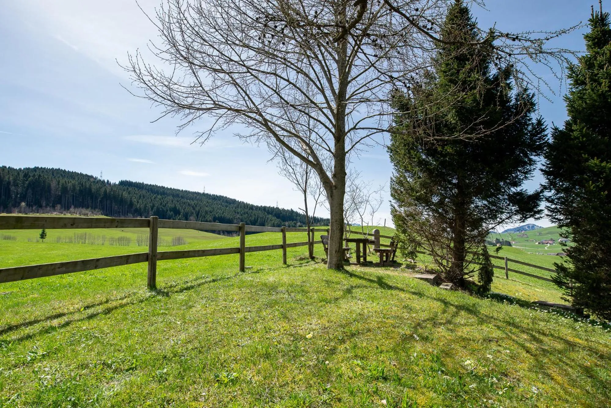 Garden view in Ferienhotel Idyll Gais