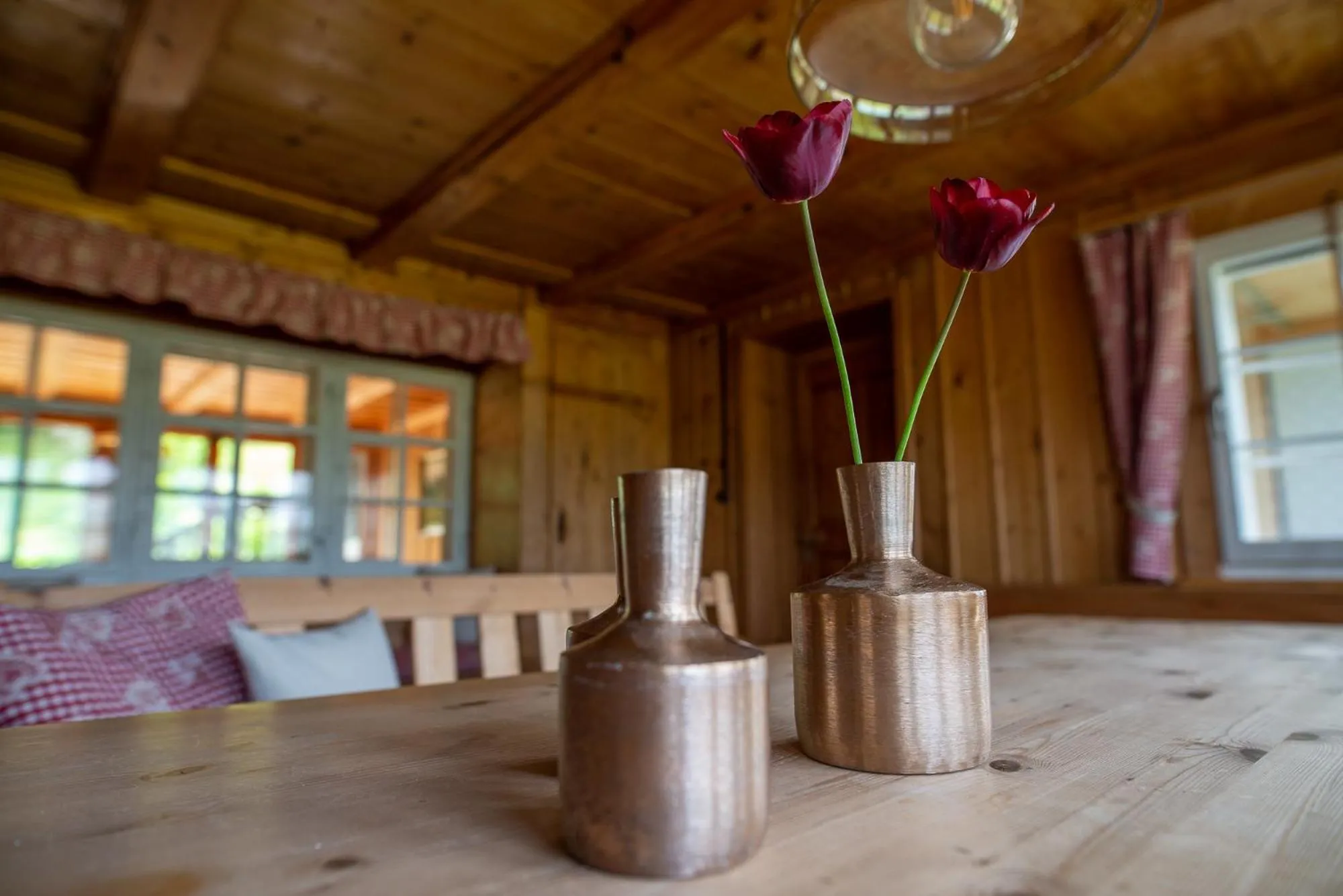 Area and facilities in Ferienhotel Idyll Gais