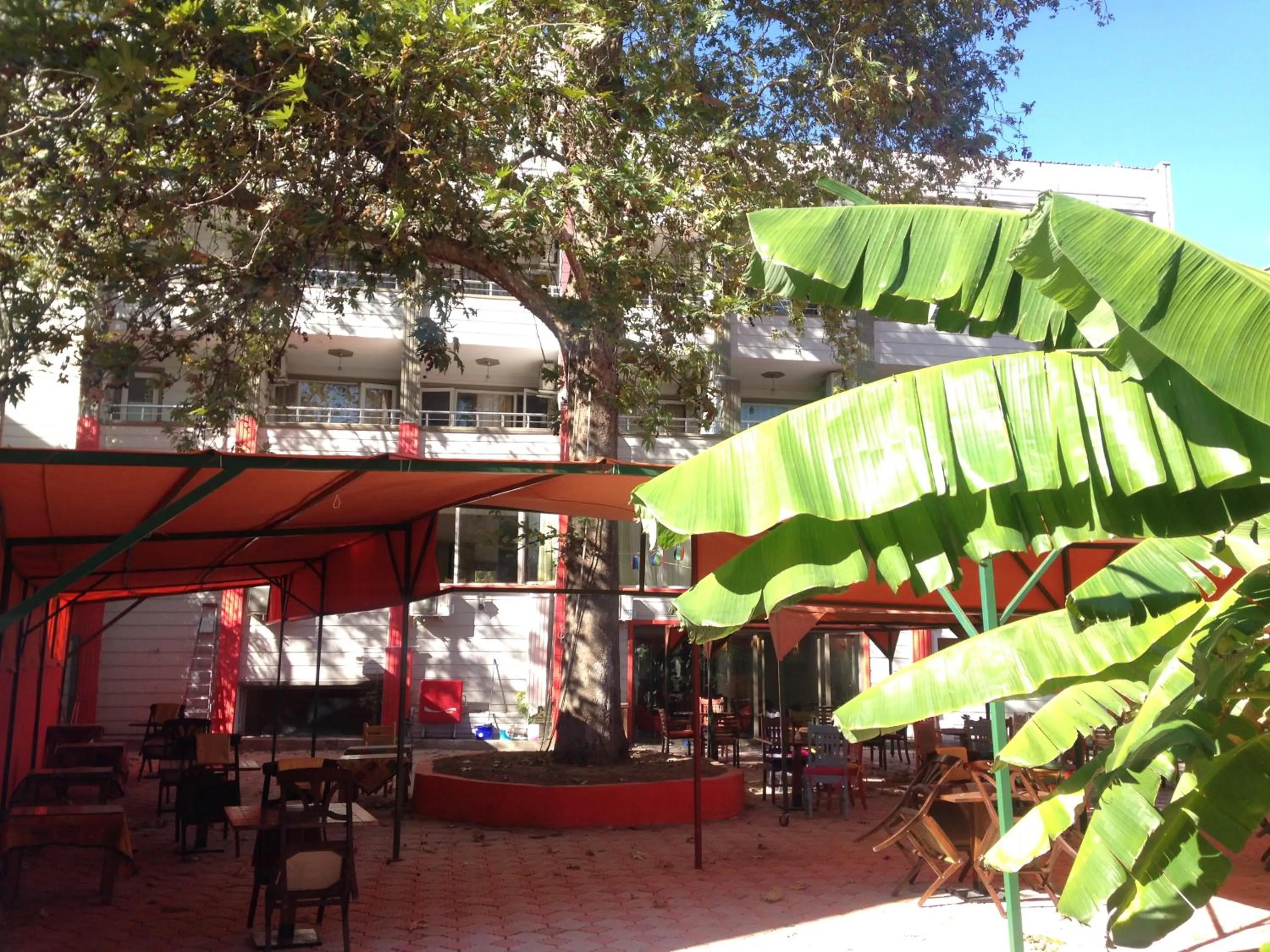 Garden view in Yalçın Otel