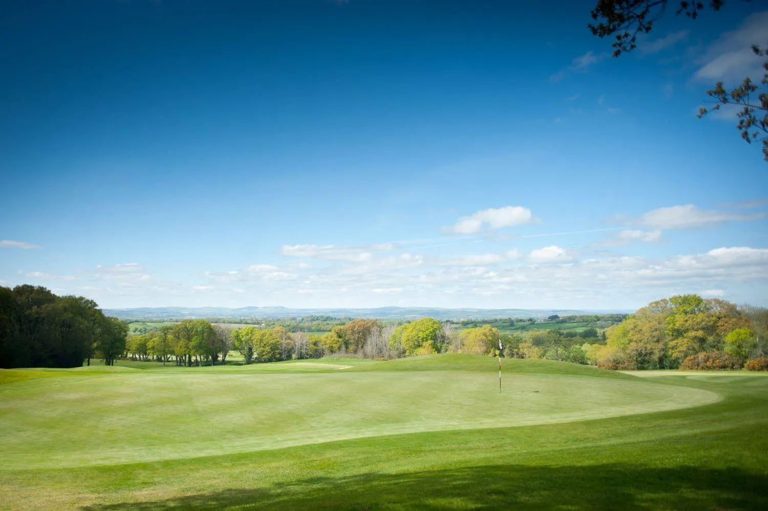 Golfcourse in Woodbury Park Hotel & Spa