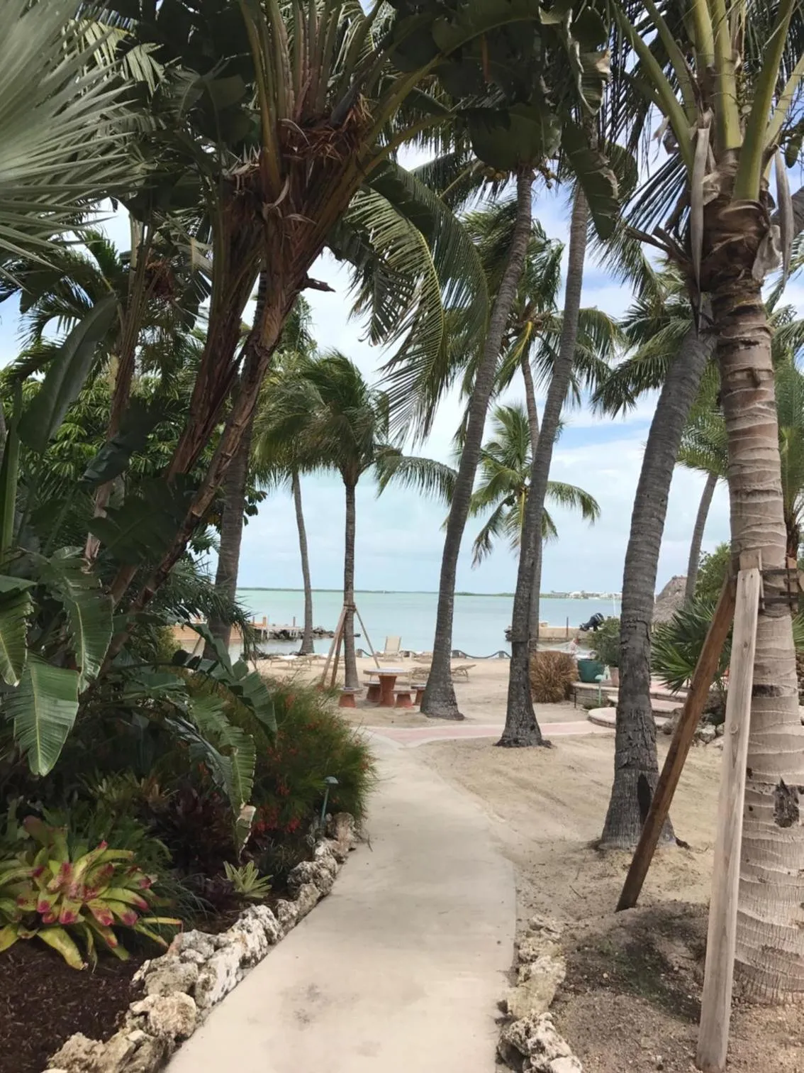 Beach in Kona Kai Resort and Gallery