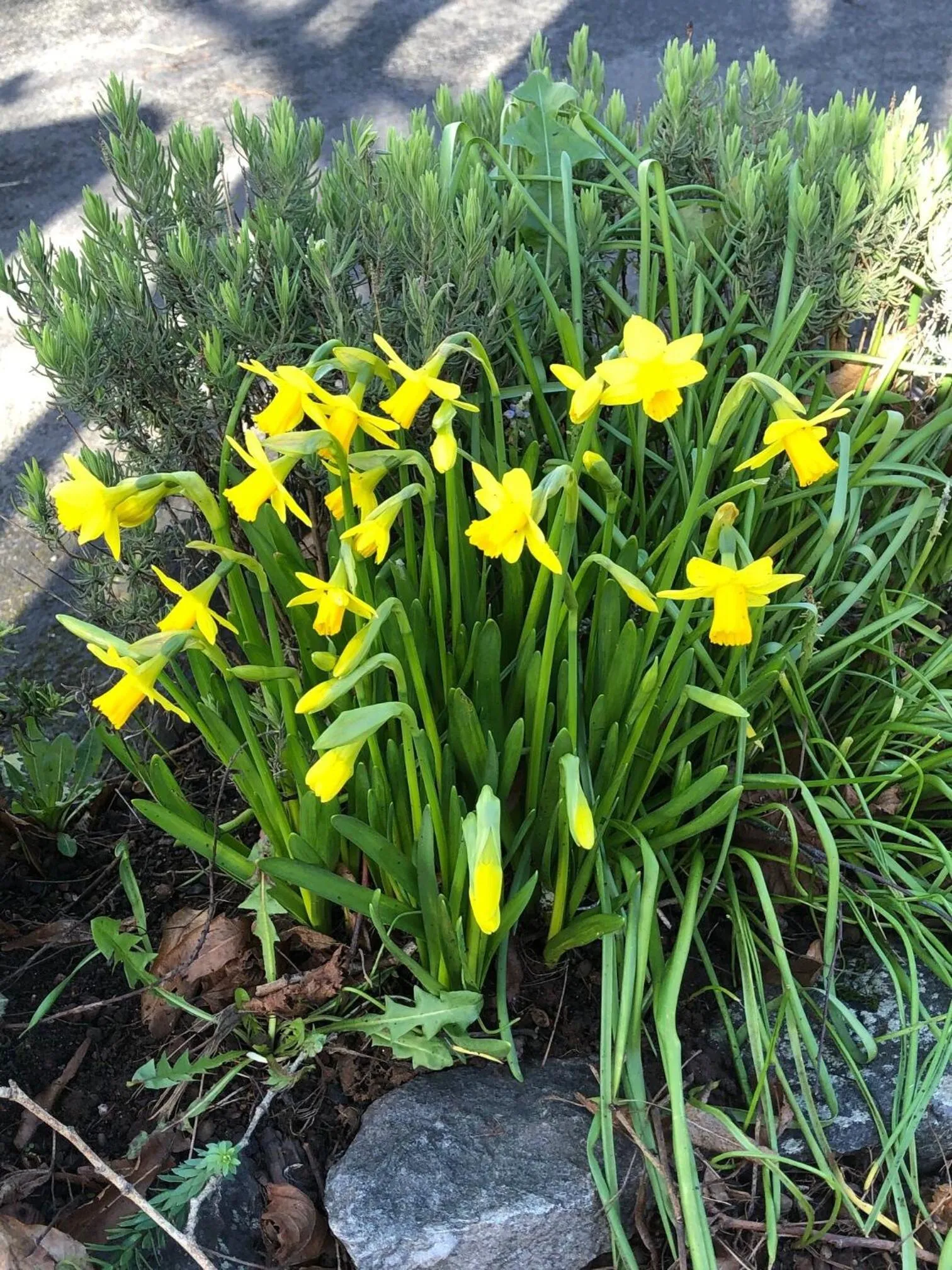 Property building in The Brandize Guest House